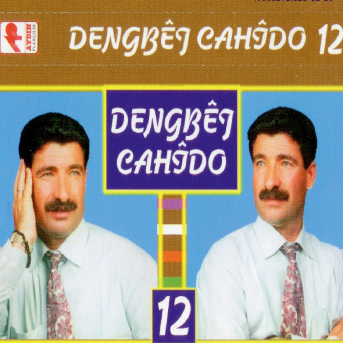 Dengb j Cah do, Vol. 12 Kin