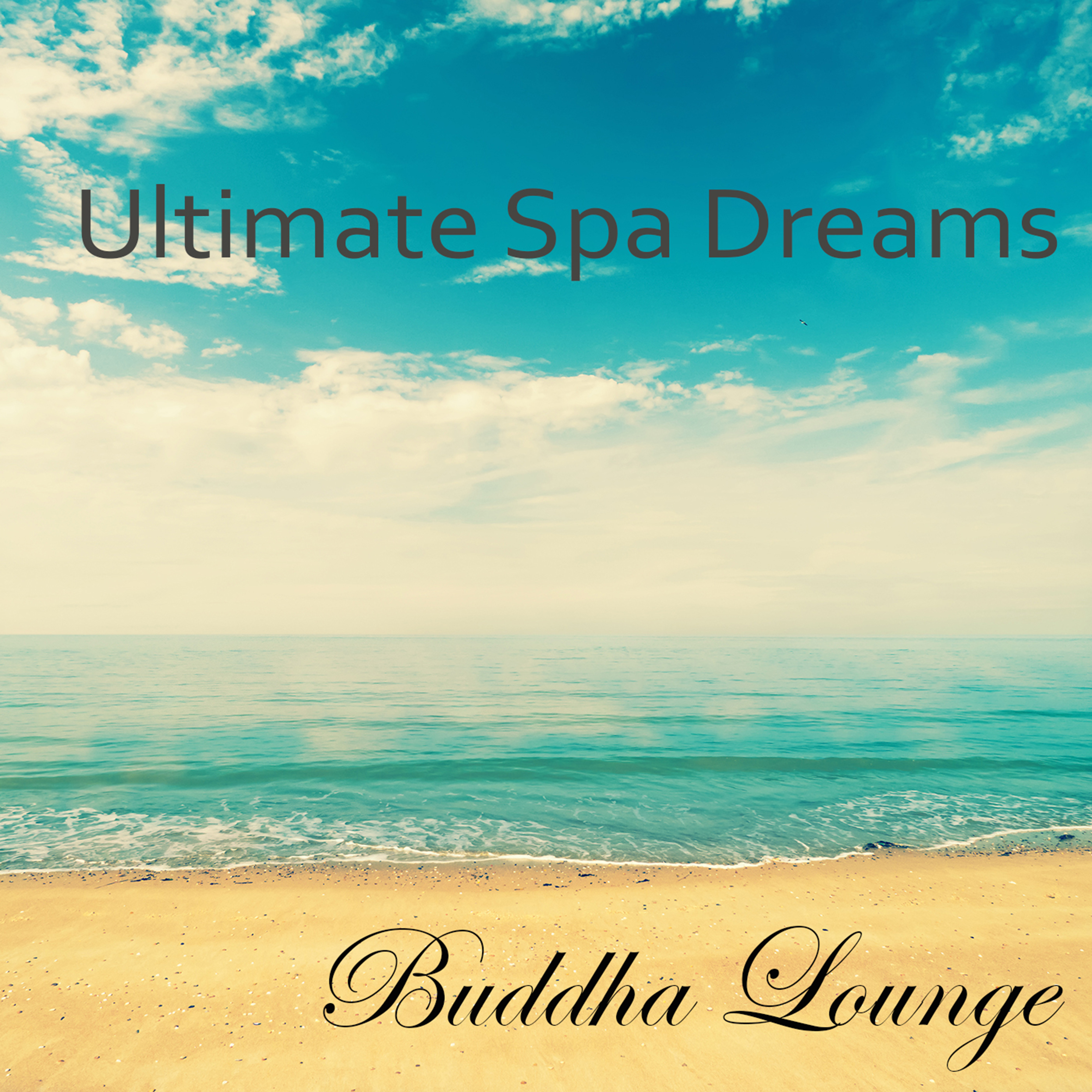 Ultimate Spa Dreams Buddha Lounge Music and Relaxation Meditation Lounge Bar Chill Music Selection