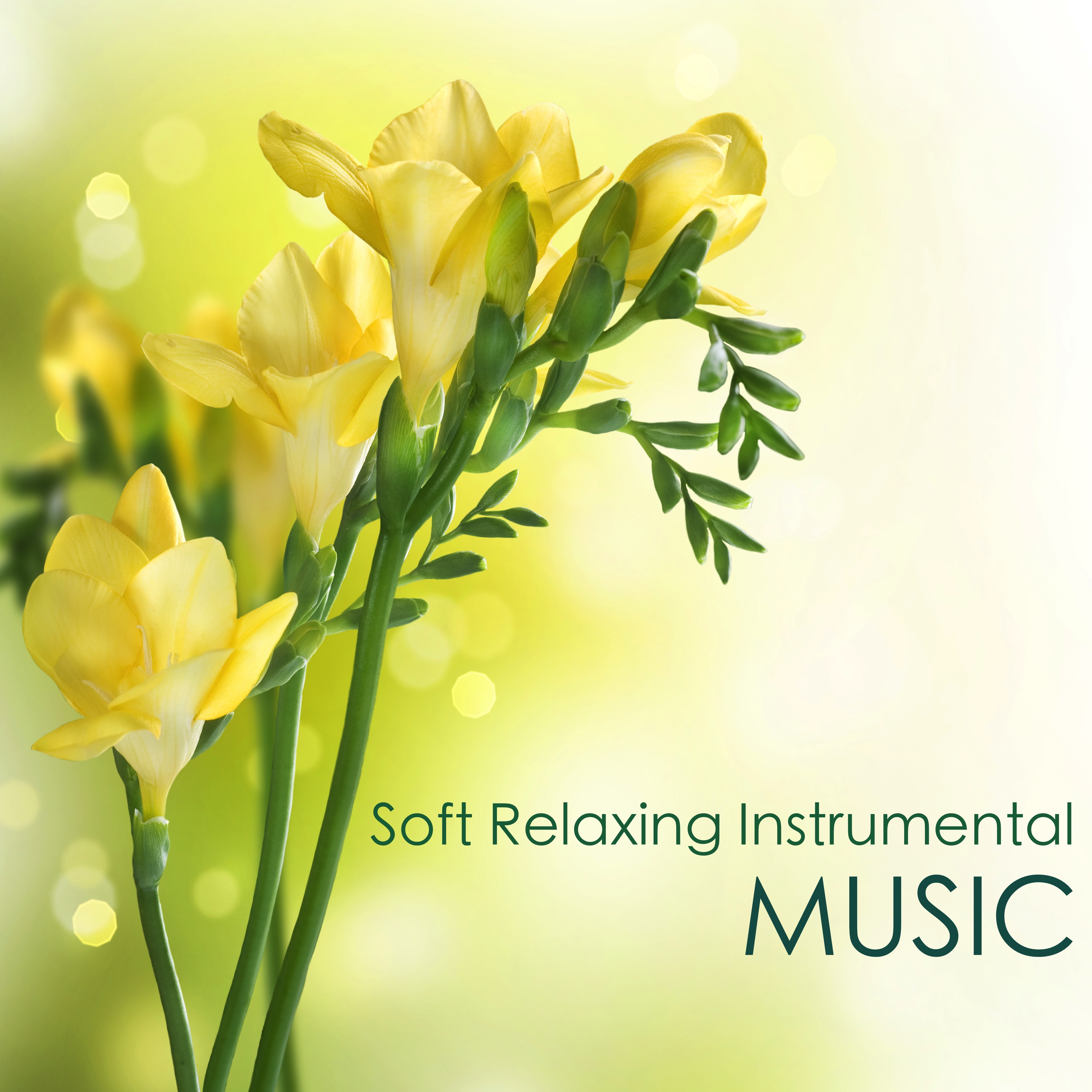 Soft Relaxing Instrumental Music: Inspirational Songs for Calming, Inner Peace of Mind and Concentration