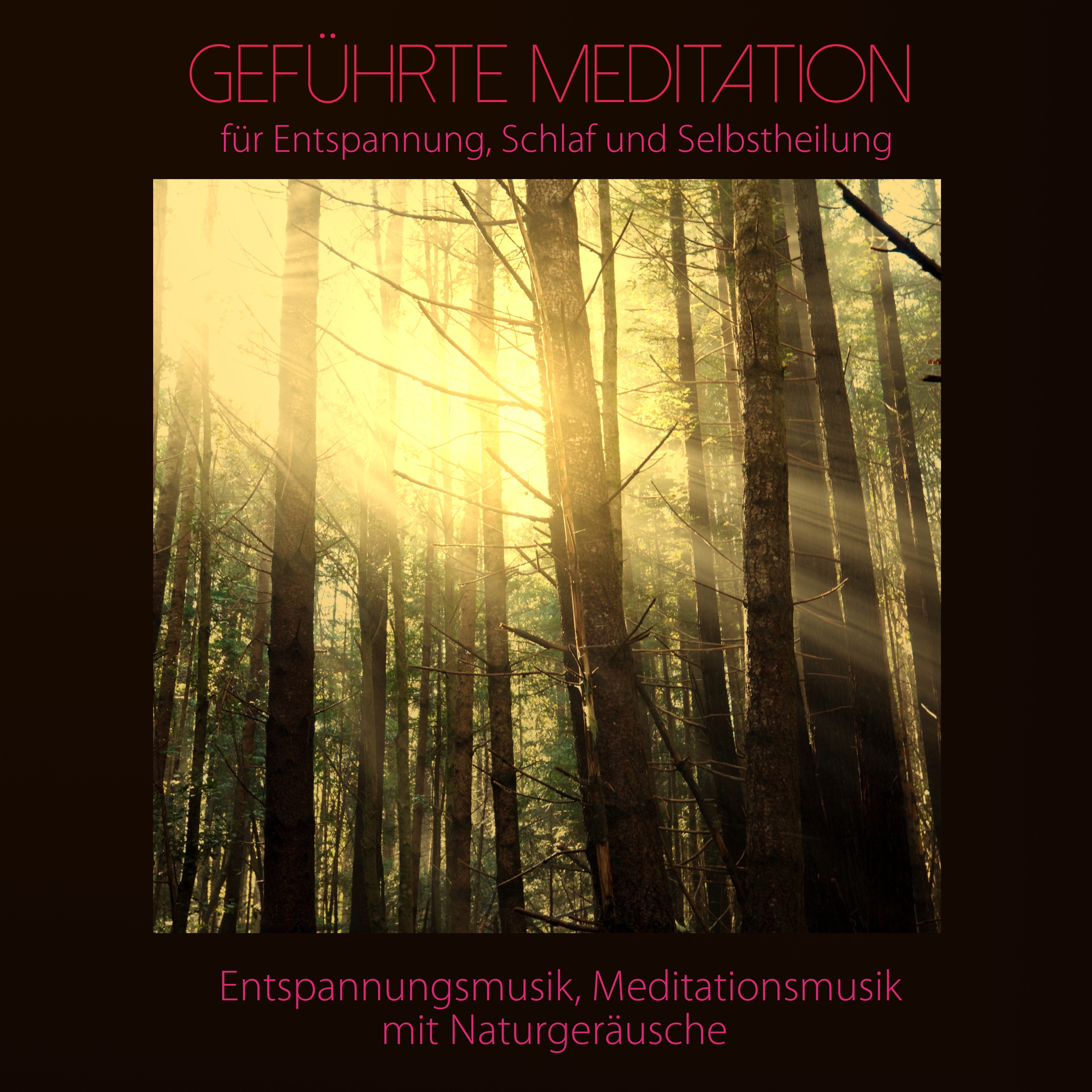 Gefü hrte Meditation fü r Entspannung, Schlaf und Selbstheilung  Entspannungsmusik, Meditationsmusik mit Naturger usche