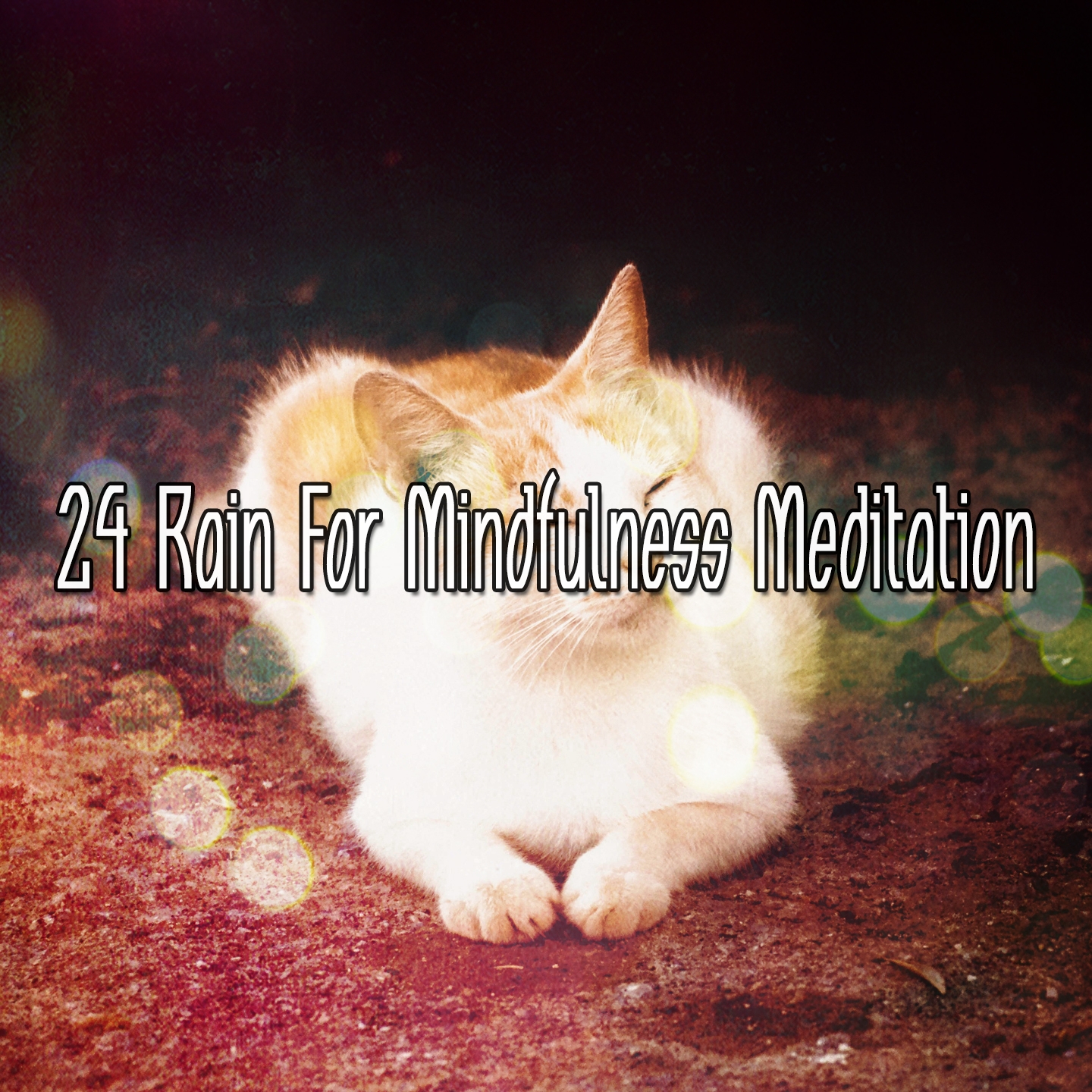 24 Rain For Mindfulness Meditation