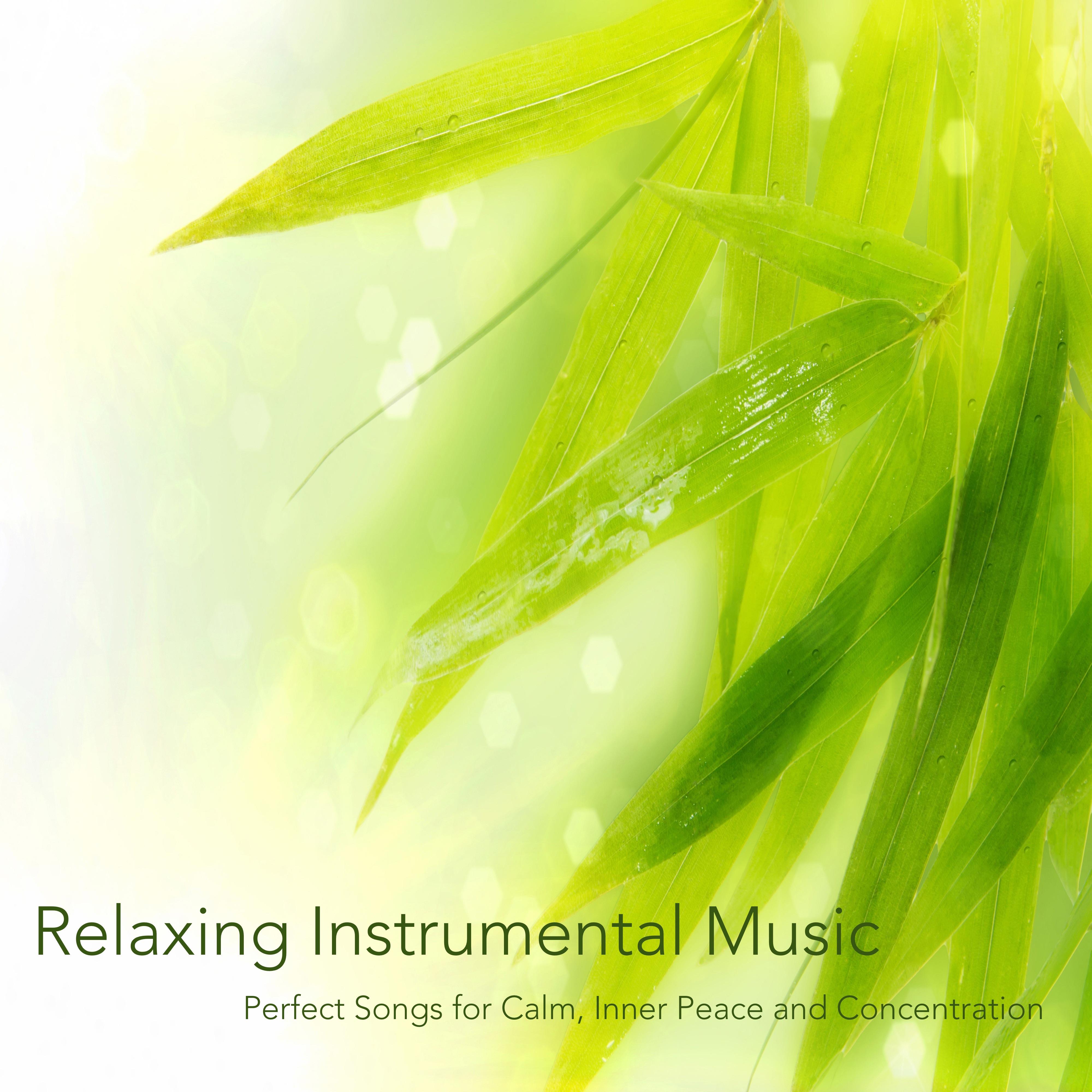 Relaxing Instrumental Music: Perfect Songs for Calm, Inner Peace and Concentration