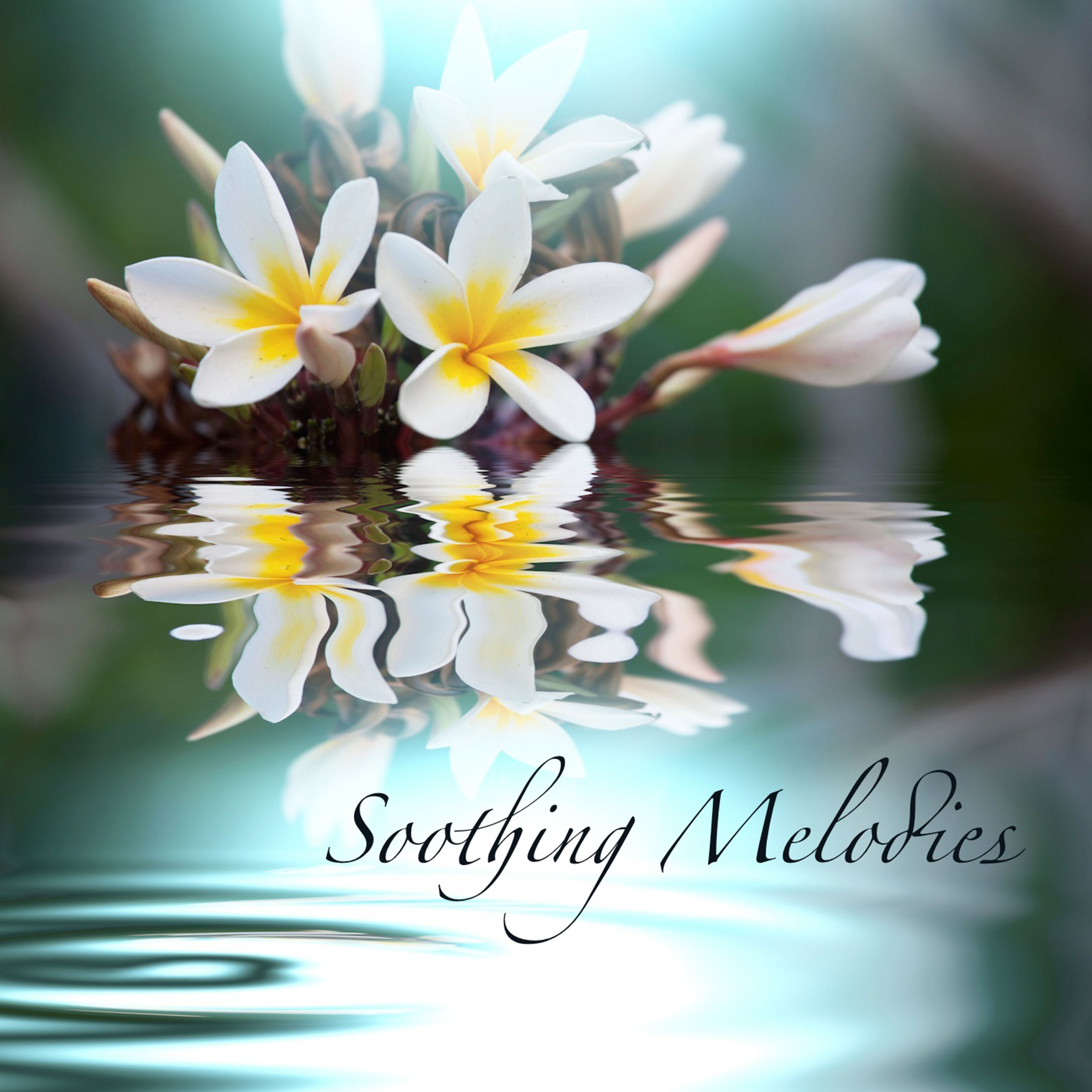Soothing Melodies, Relaxing Healing Songs With Sounds of Nature, Water and Rain