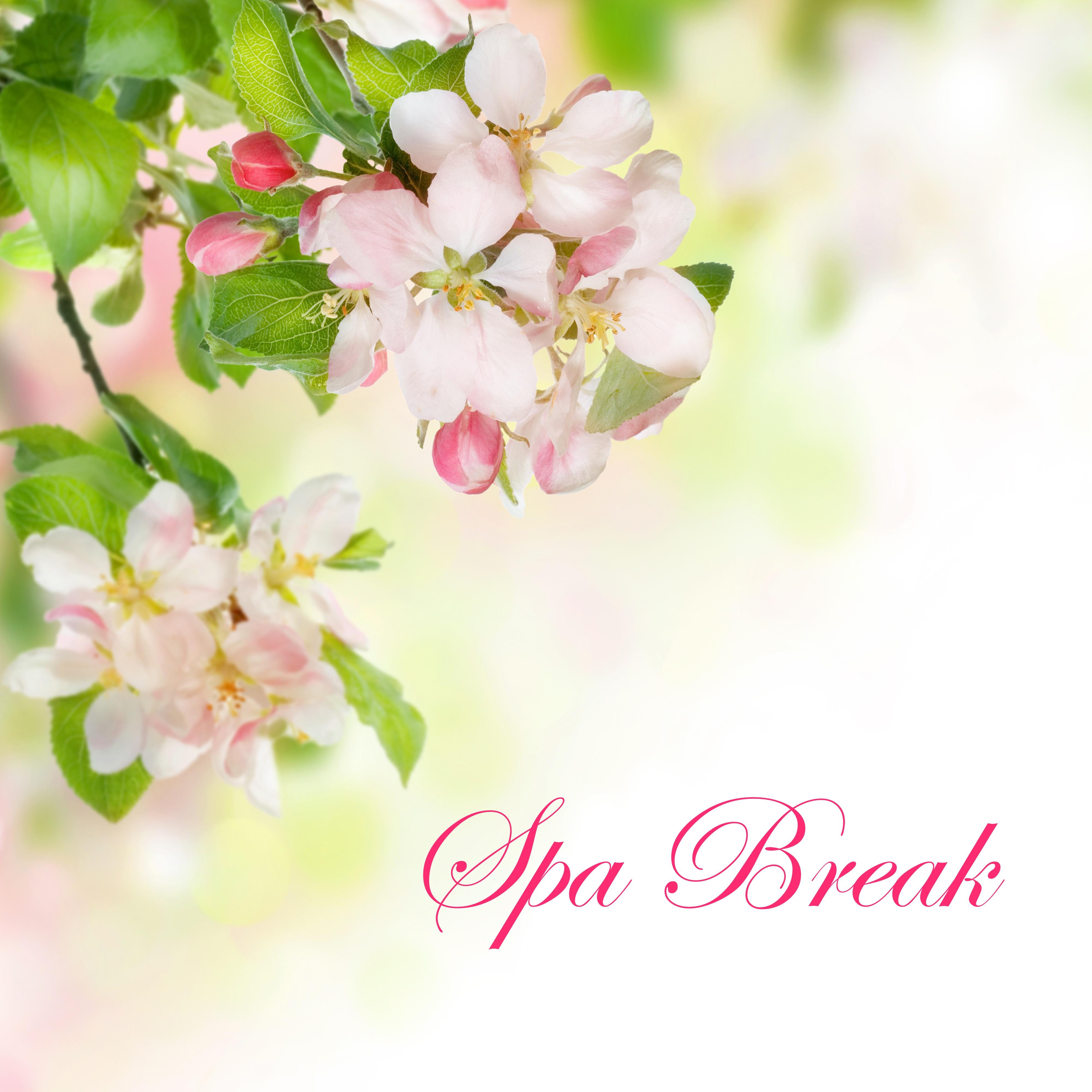 Spa Break - Relaxing Spa Massage Music with Peaceful and Calming Nature Sounds & White Noise