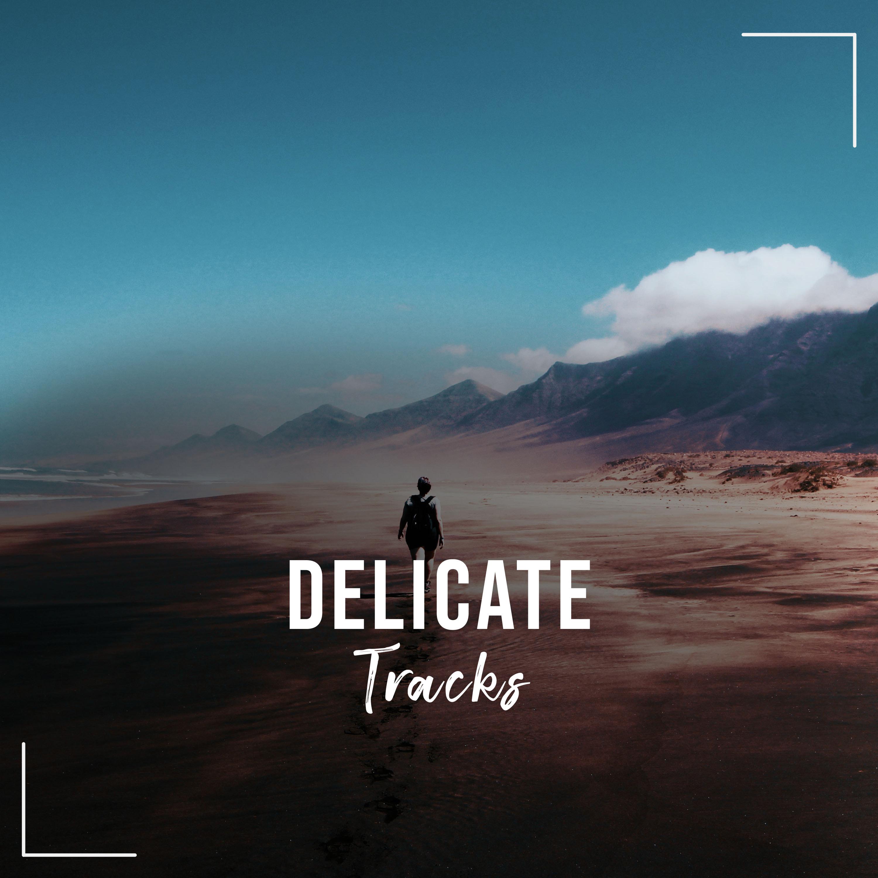 #21 Delicate Tracks for Spa & Relaxation
