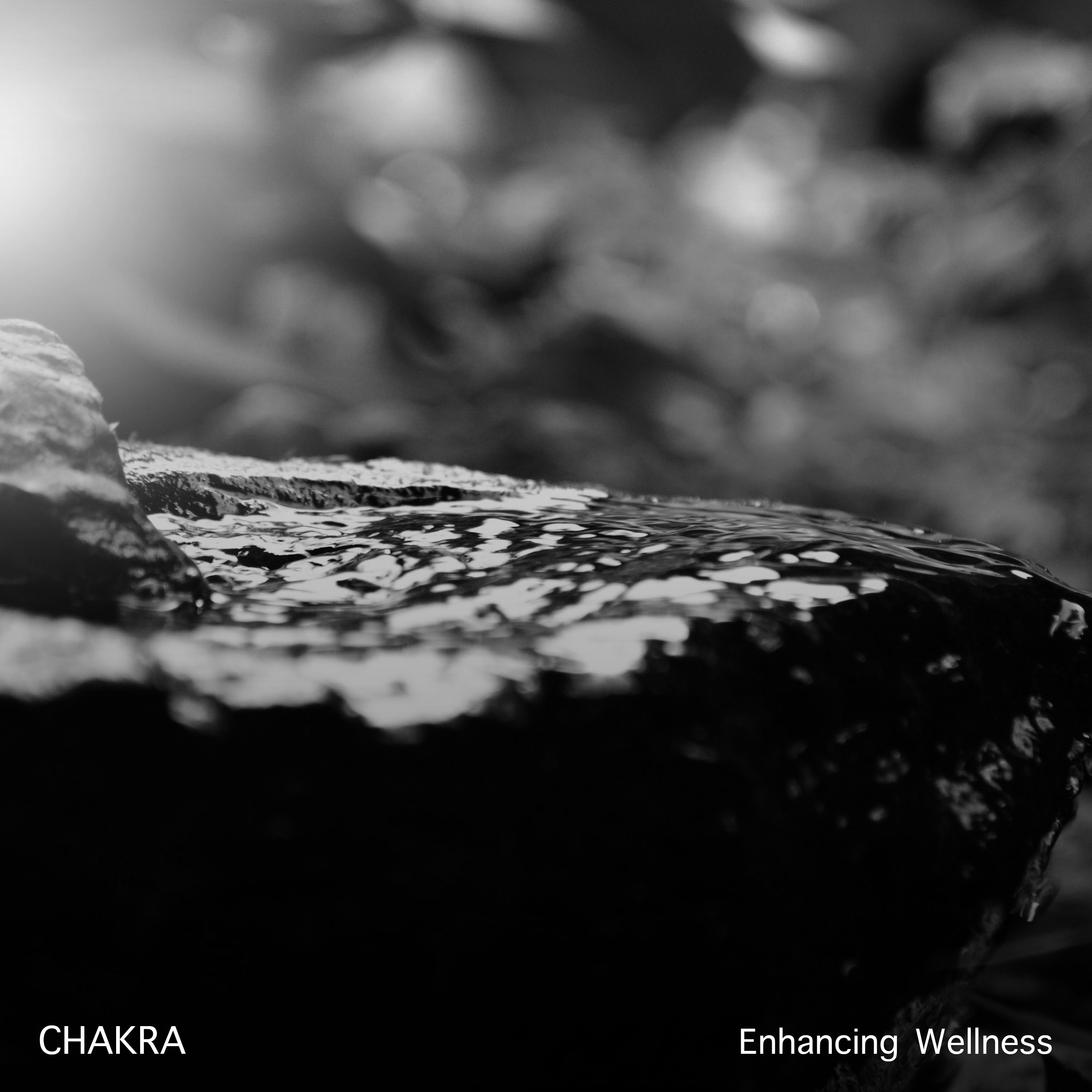 19 Chakra Enhancing Wellness Therapy Album
