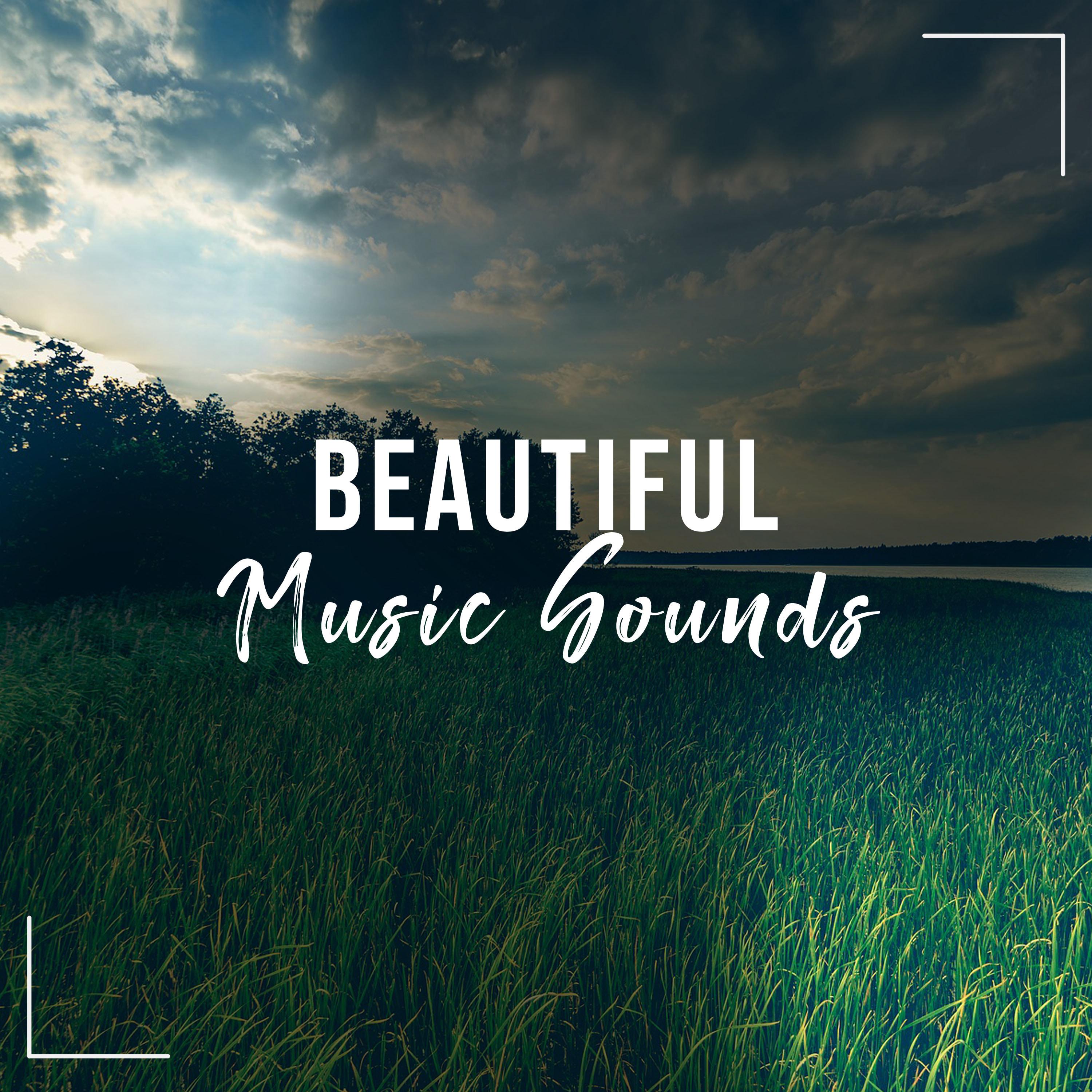 #2018 Beautiful Music Sounds for Guided Meditation & Relaxation