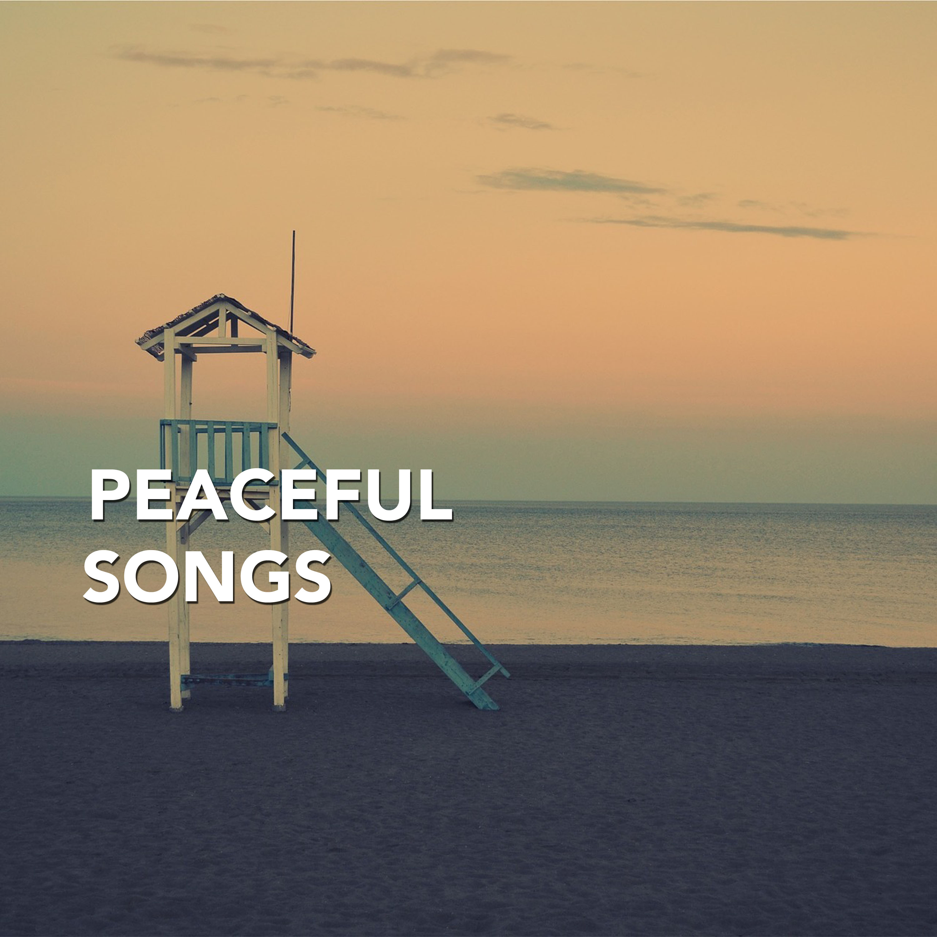 Peaceful Songs for Practicing Meditation