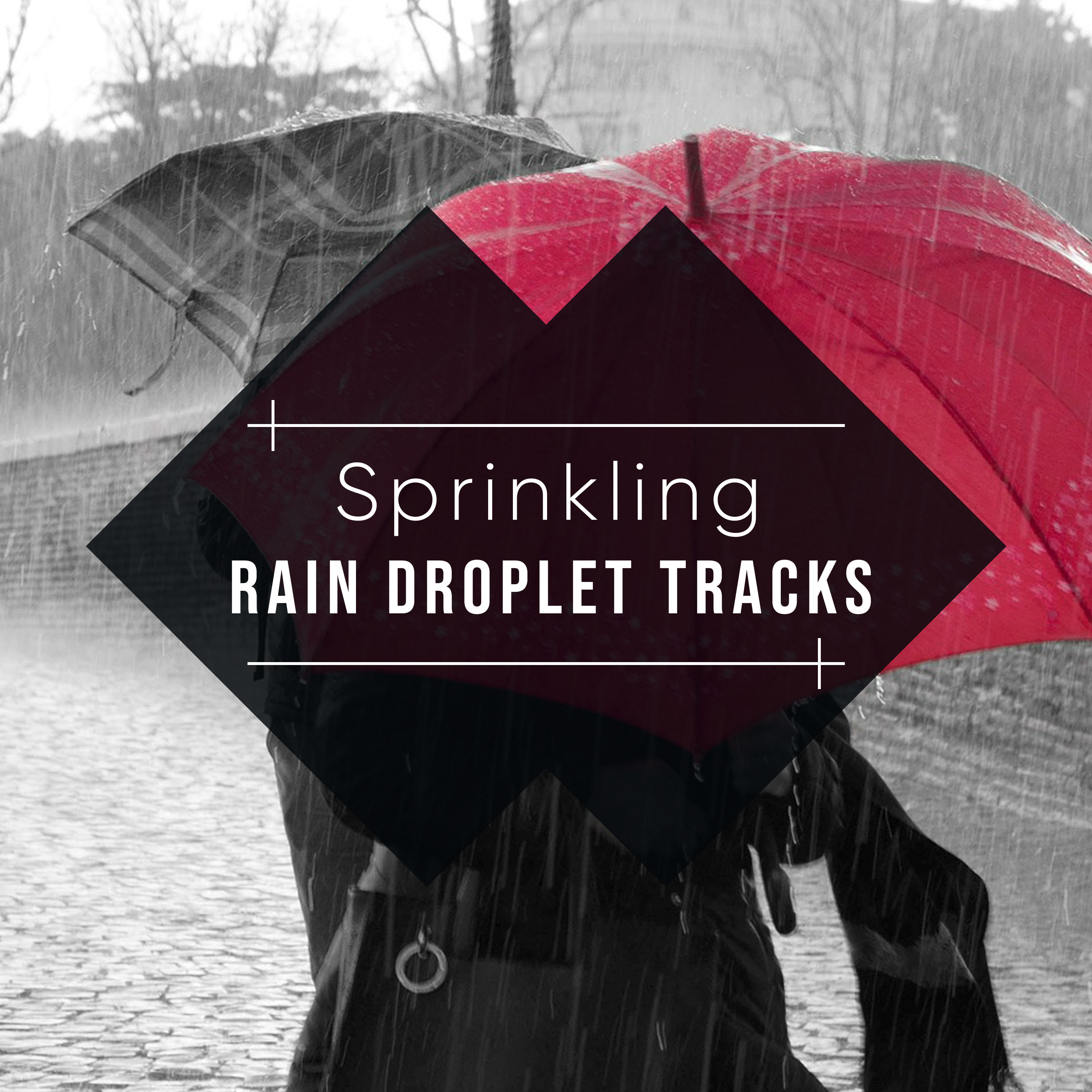 #15 Sprinkling Rain Droplet Tracks