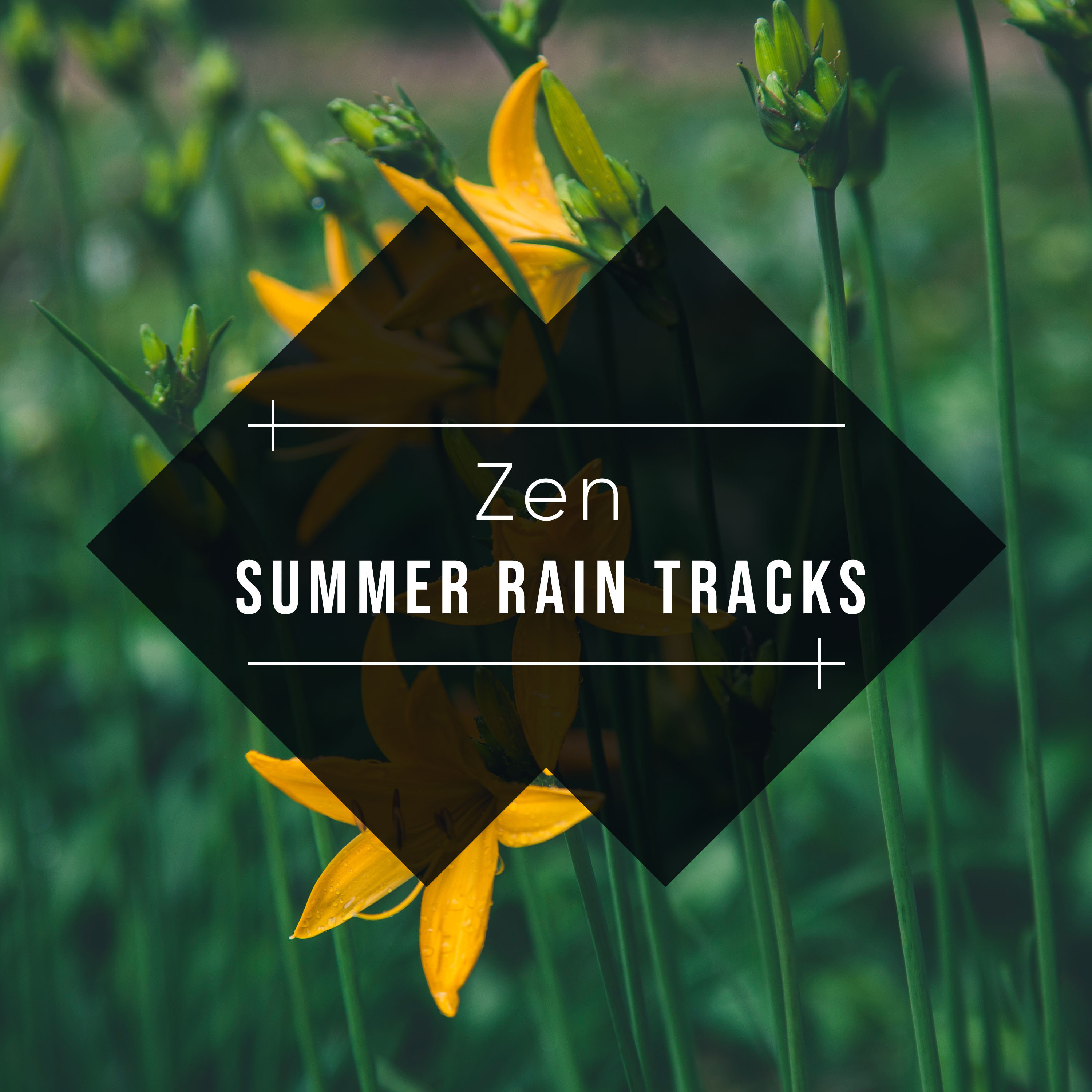 #16 Zen Summer Rain Tracks