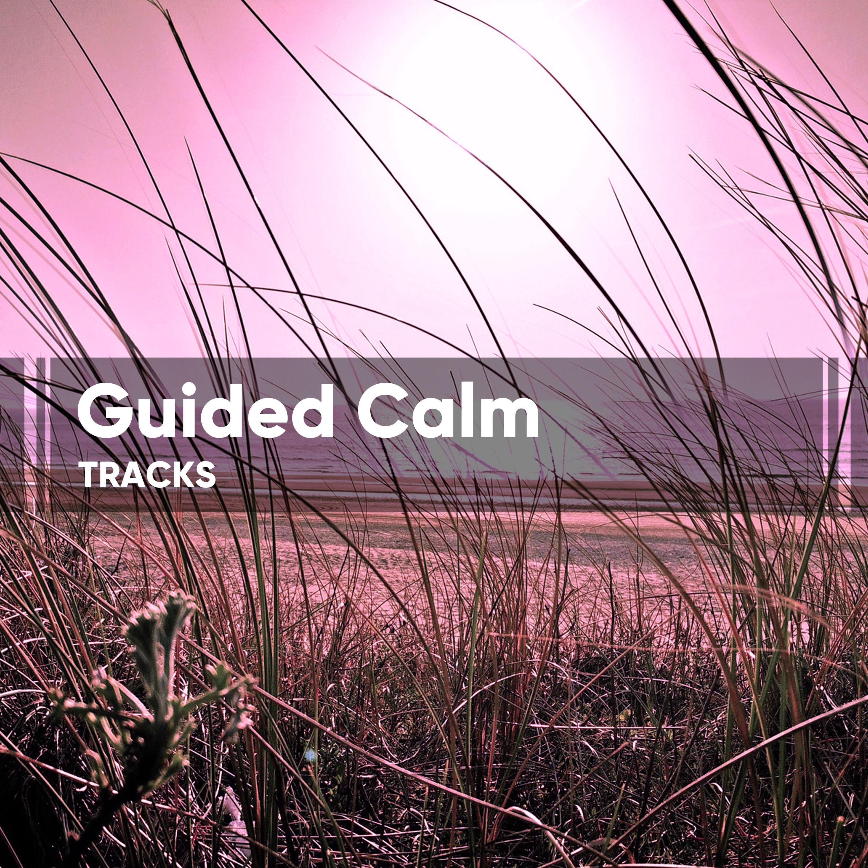 Guided Calm Tracks for Yoga Training