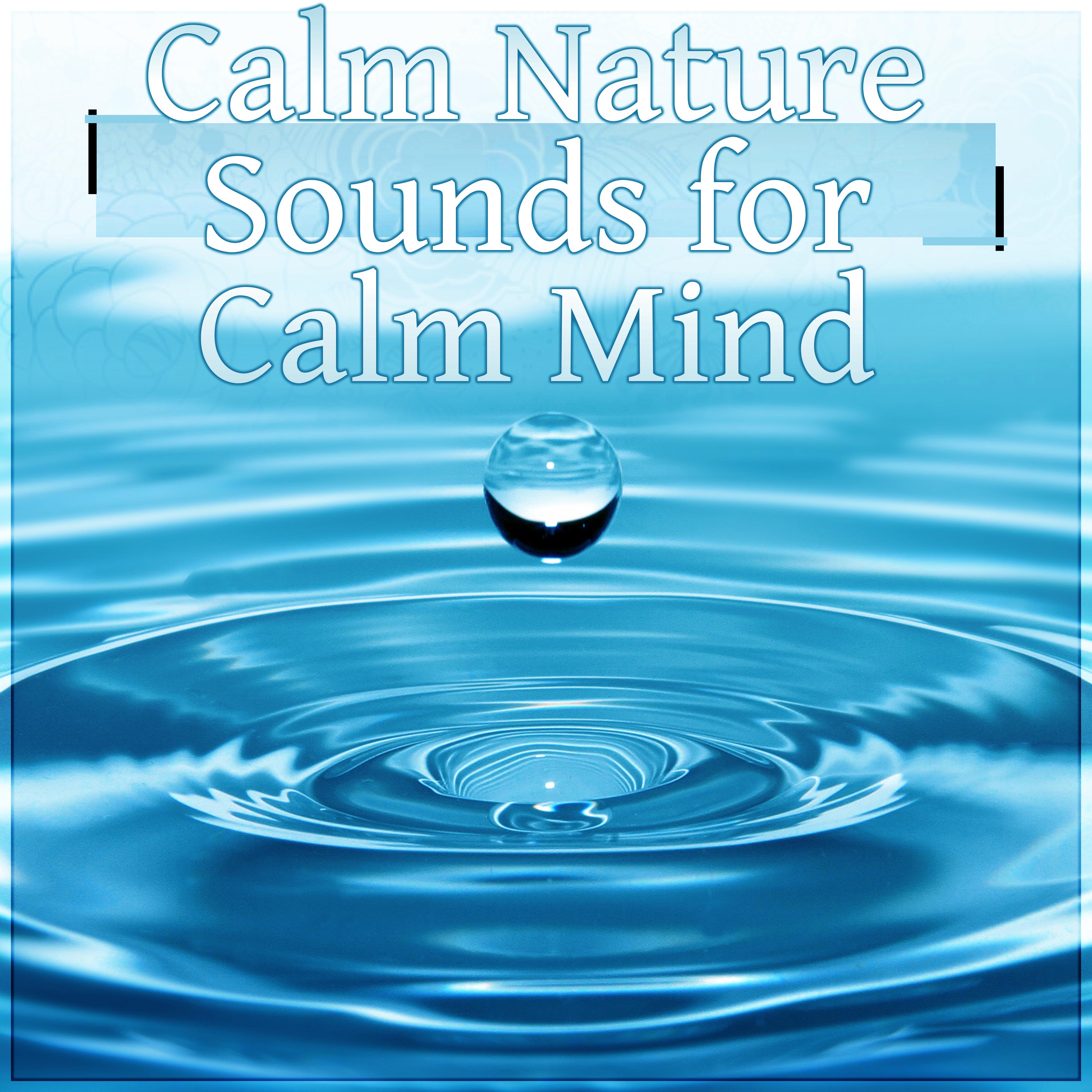 Calm Nature Sounds for Calm Mind - Meditation, Natural Sleep Aids, Rain Sounds, White Noise for Deep Sleep