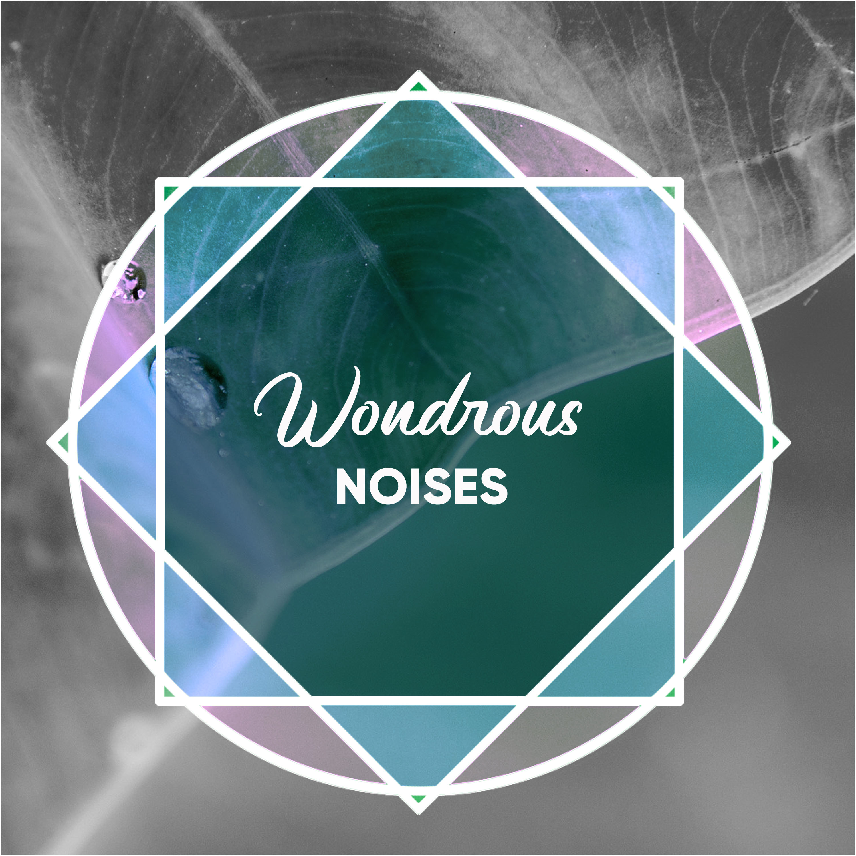 Wondrous Noises