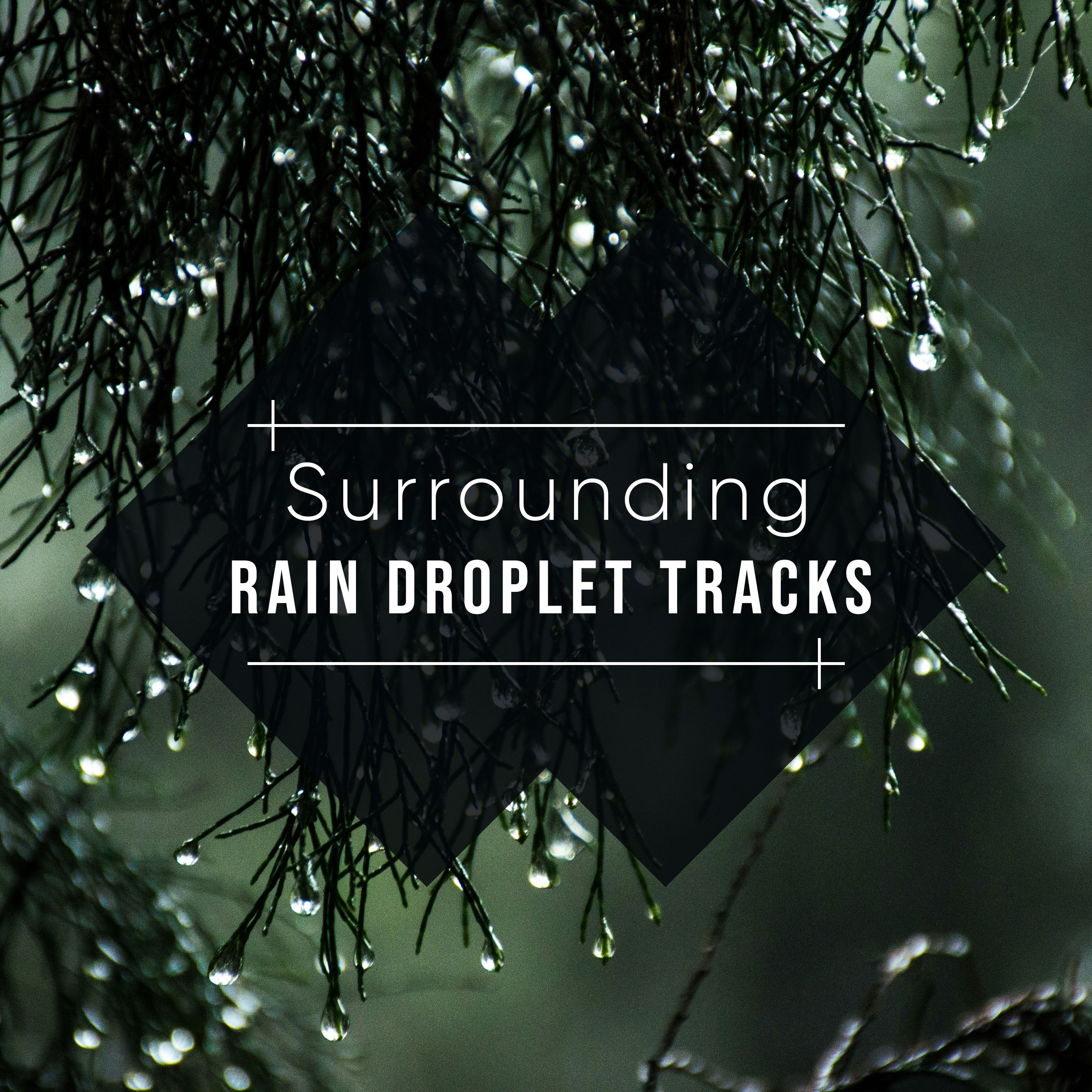 #20 Surrounding Rain Droplet Tracks