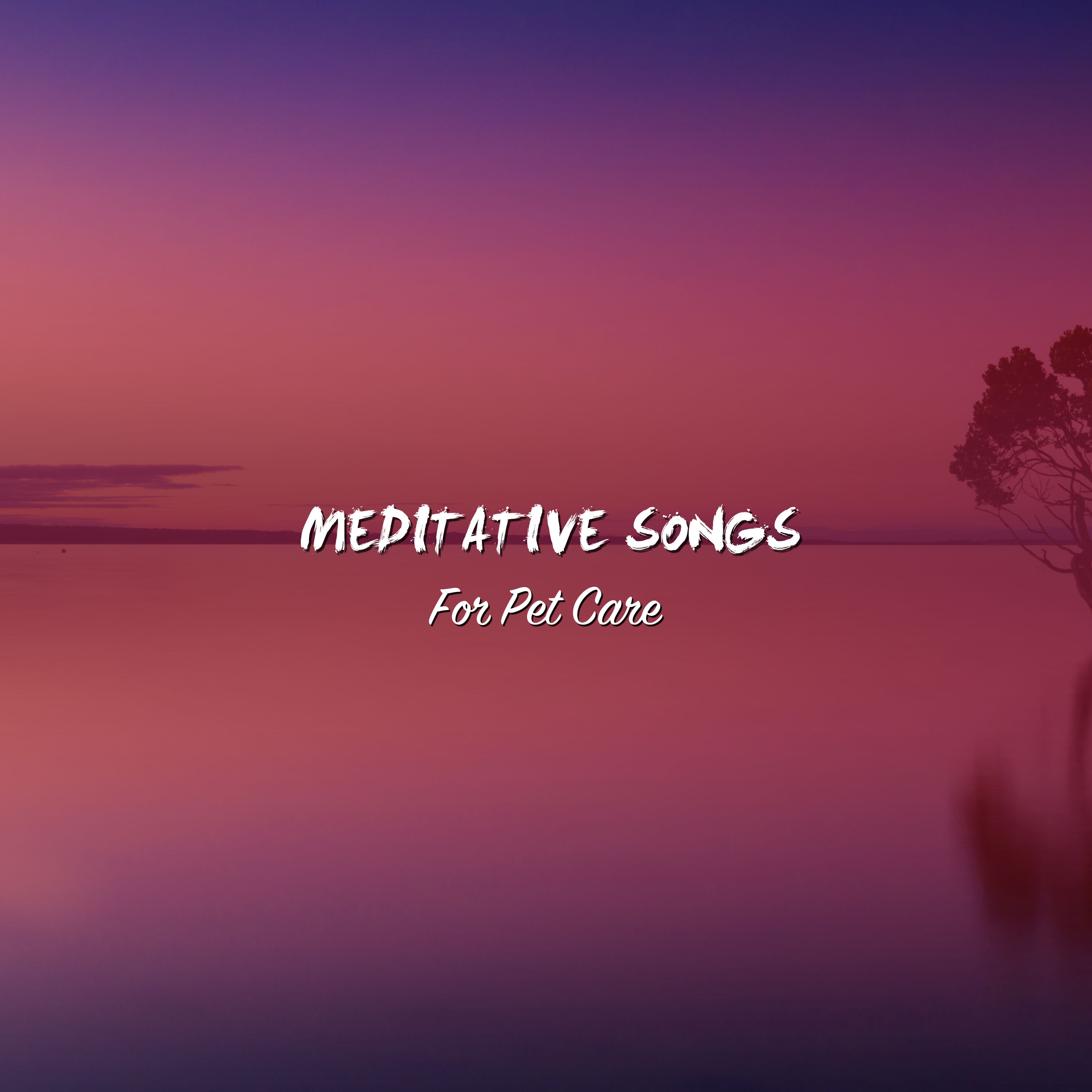 12 Meditative Songs for Pet Care