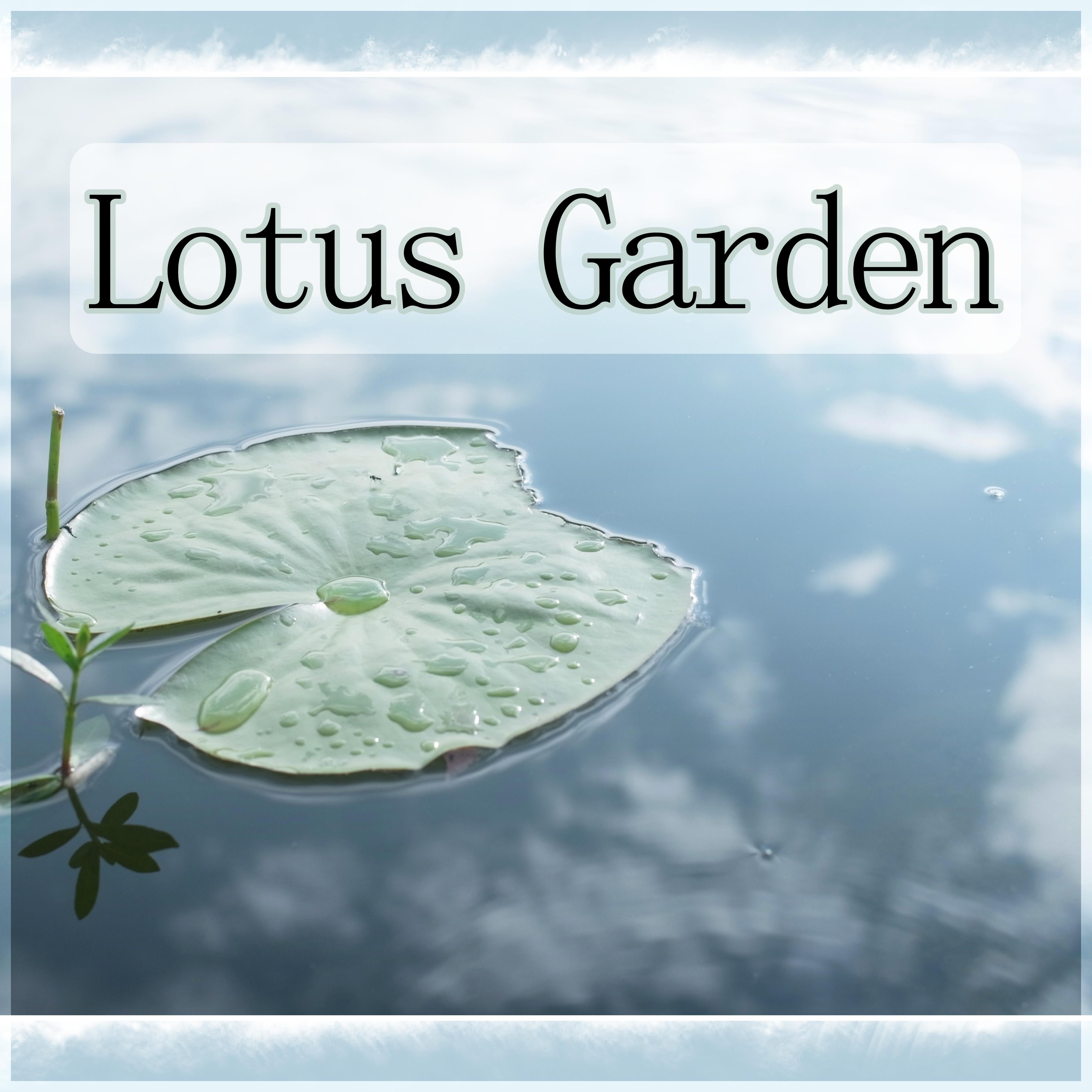 Lotus Garden - Ambient Music for Therapy, Serenity Spa, Healing Massage, Meditation & Relaxation, Music and Pure Nature Sounds for Stress Relief