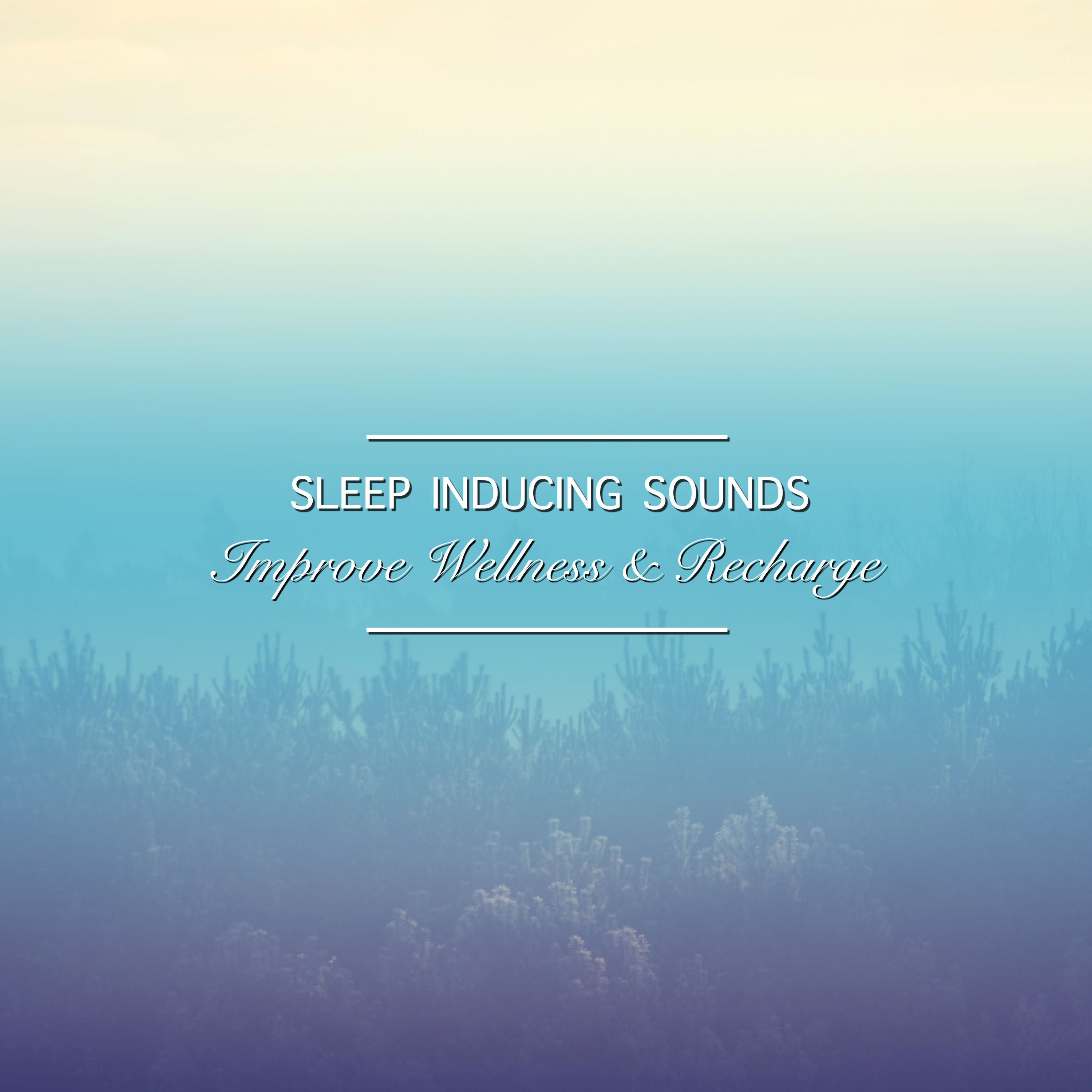20 Sleep Inducing Sounds to Improve Wellness and Recharge Chakras