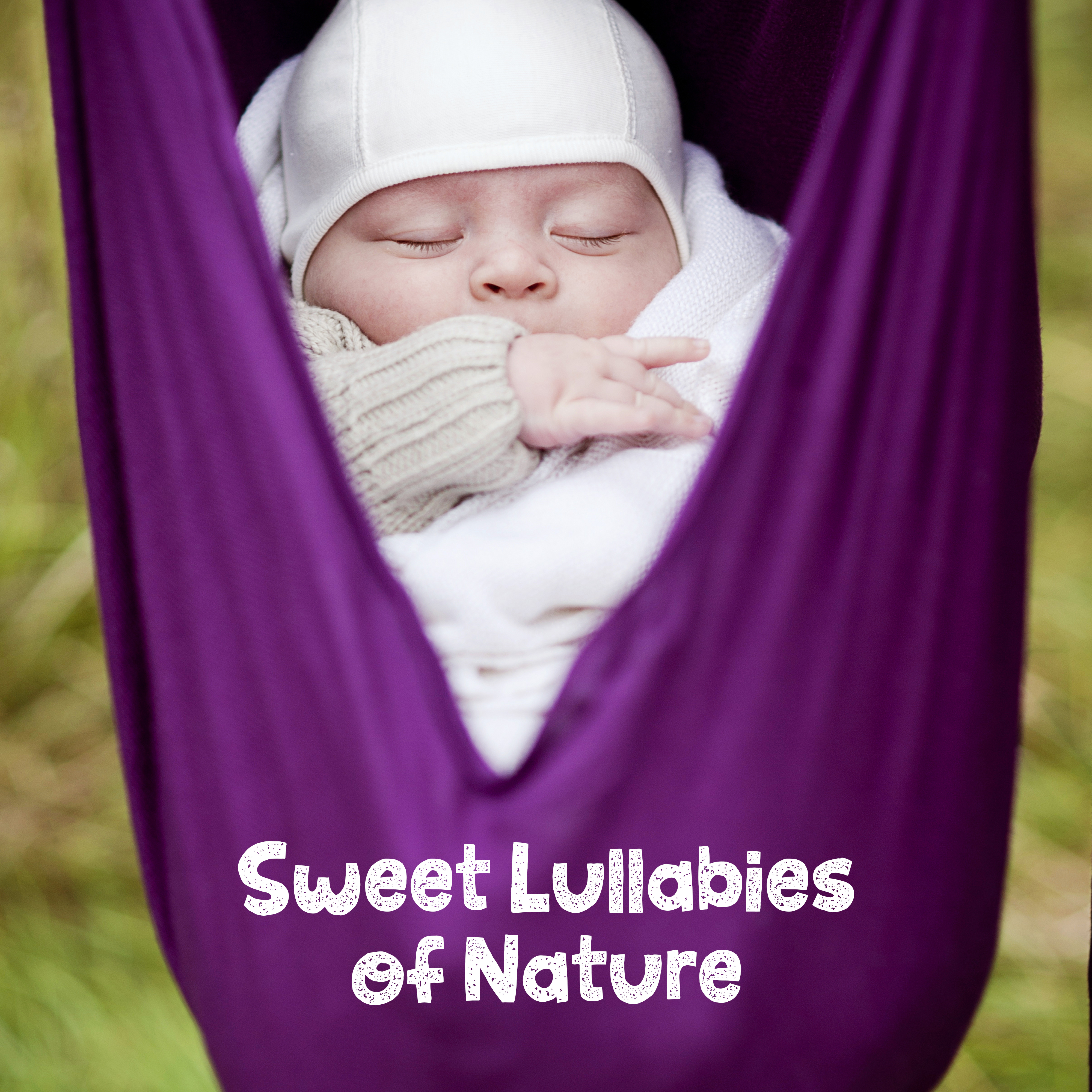 Sweet Lullabies of Nature