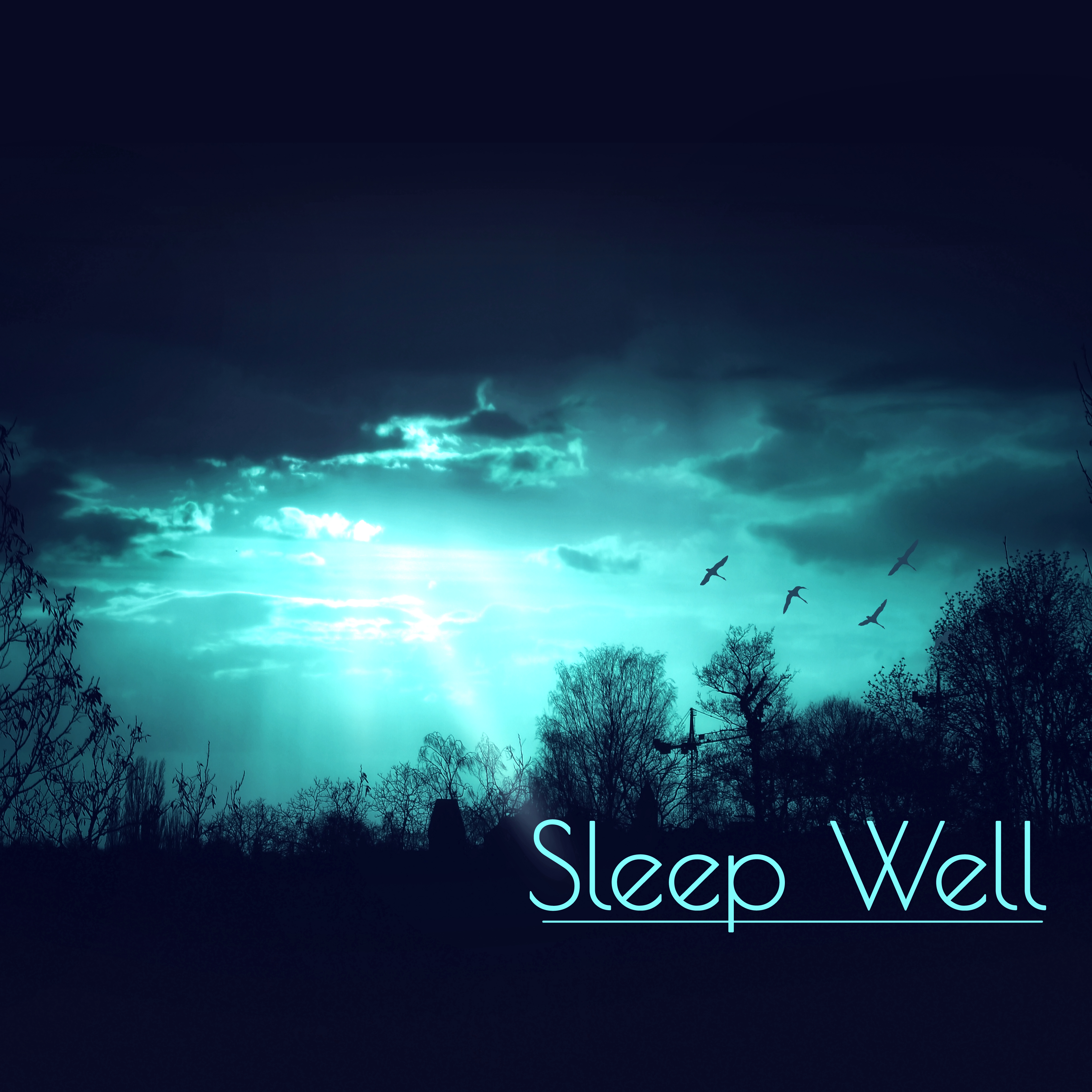 Sleep Well - Sounds of Nature for Deep Sleep, Relaxing Sounds, Long Sleeping Songs to Help You Relax at Night, Massage Therapy, Relaxation, Well Being