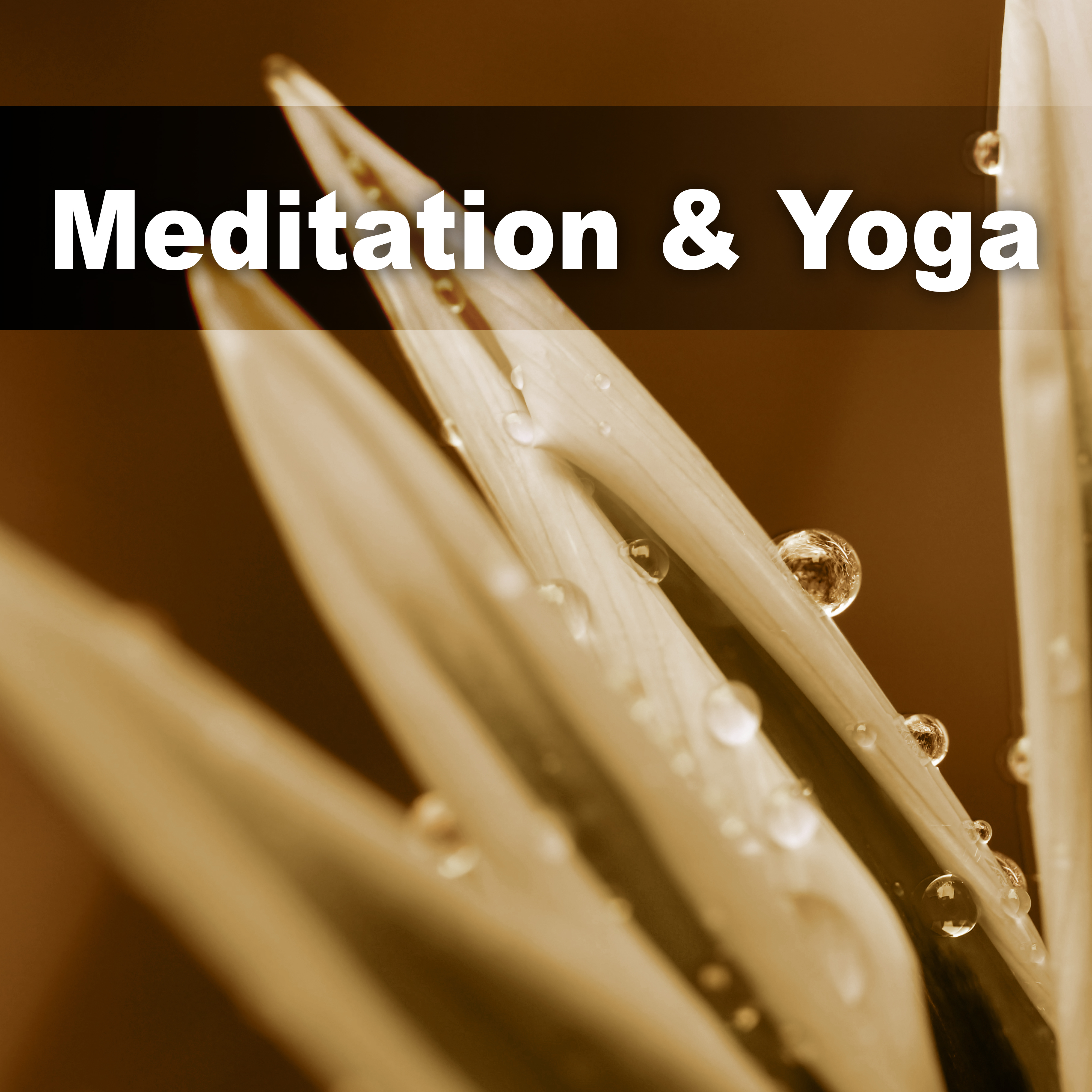 Meditation  Yoga  Massage Music, Reiki, Harmony Yoga, Relaxation Songs