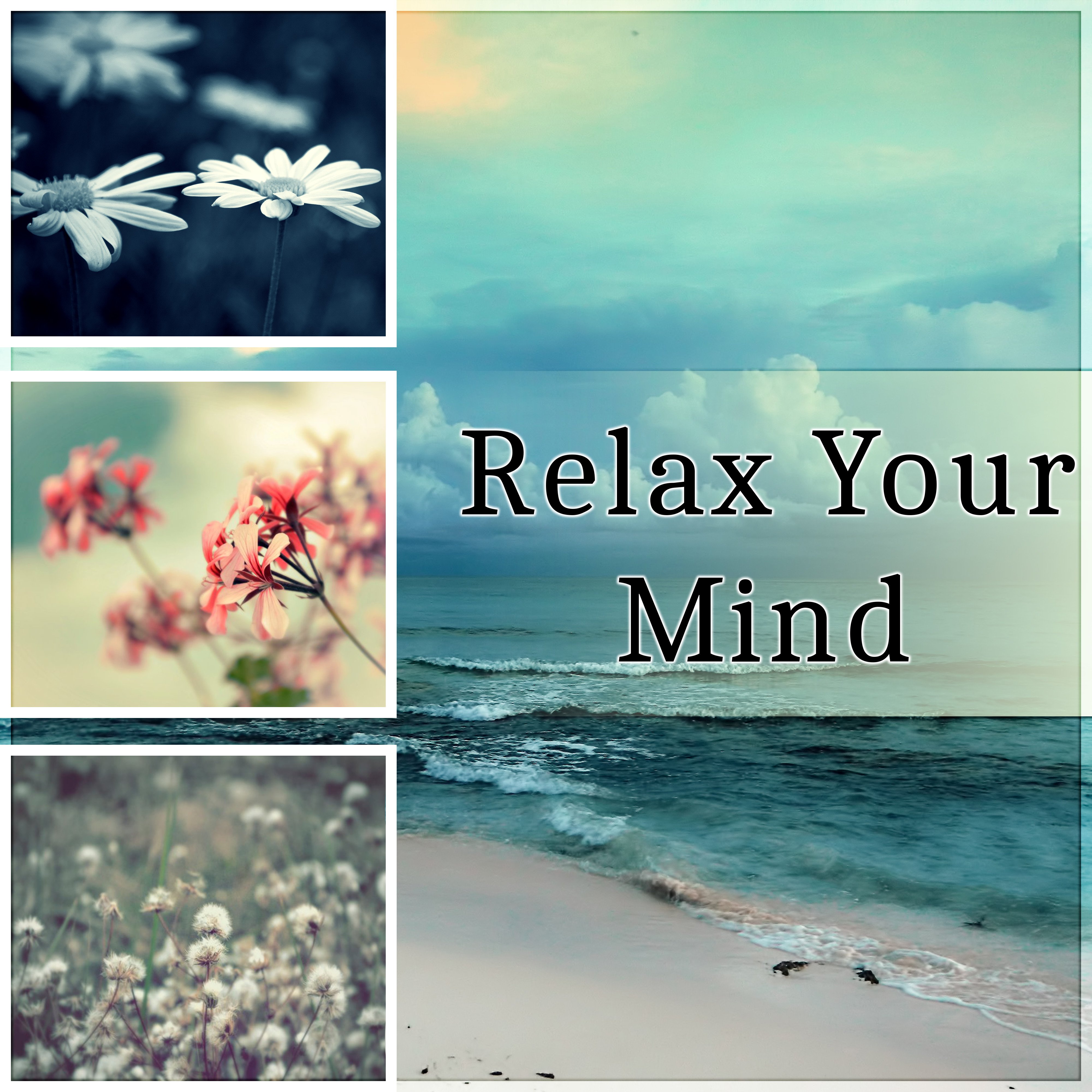 Relax Your Mind - Shiatsu Massage, Spa Day, Meditation, Nature Sounds, Water Sounds