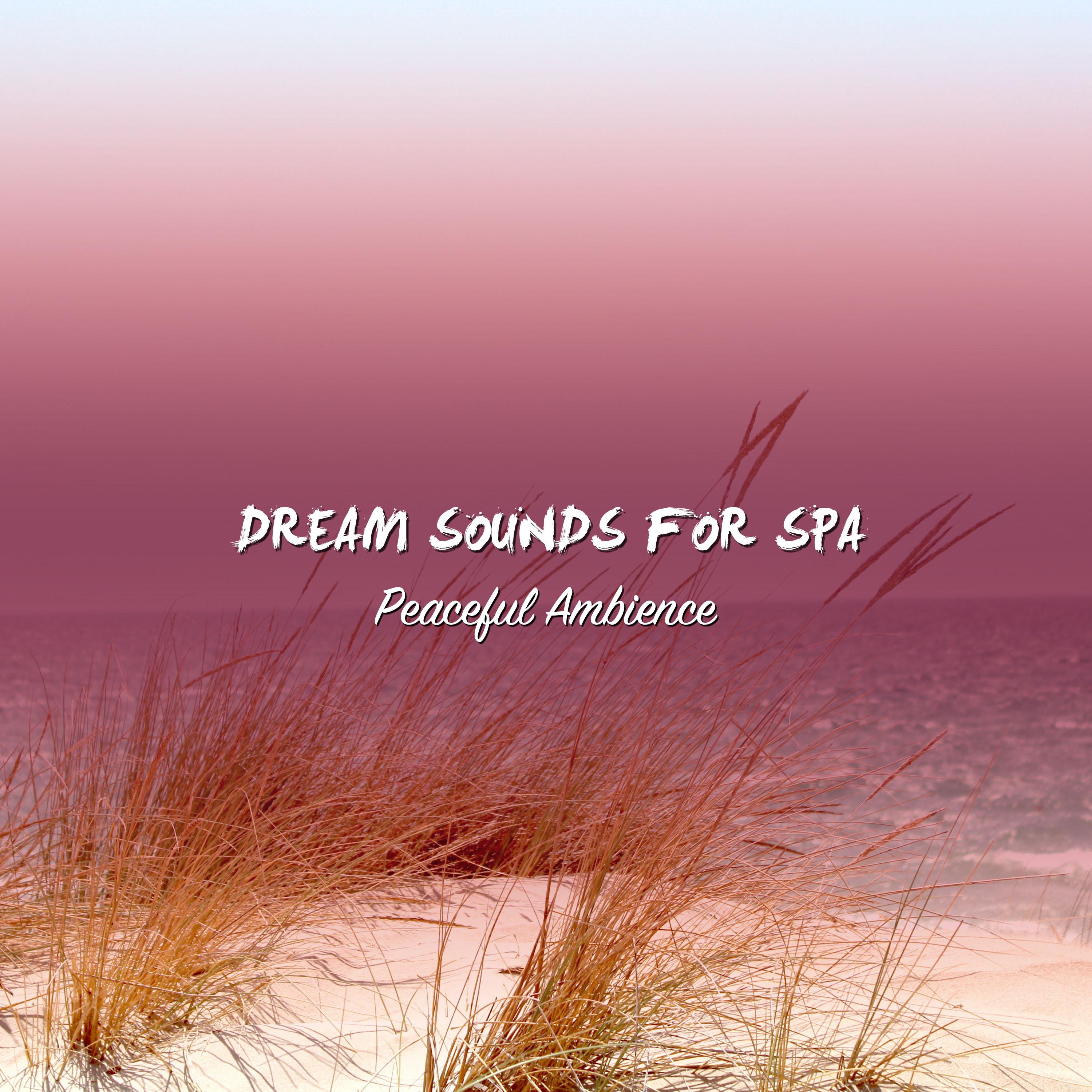25 Dream Sounds for Spa - Peaceful Ambience