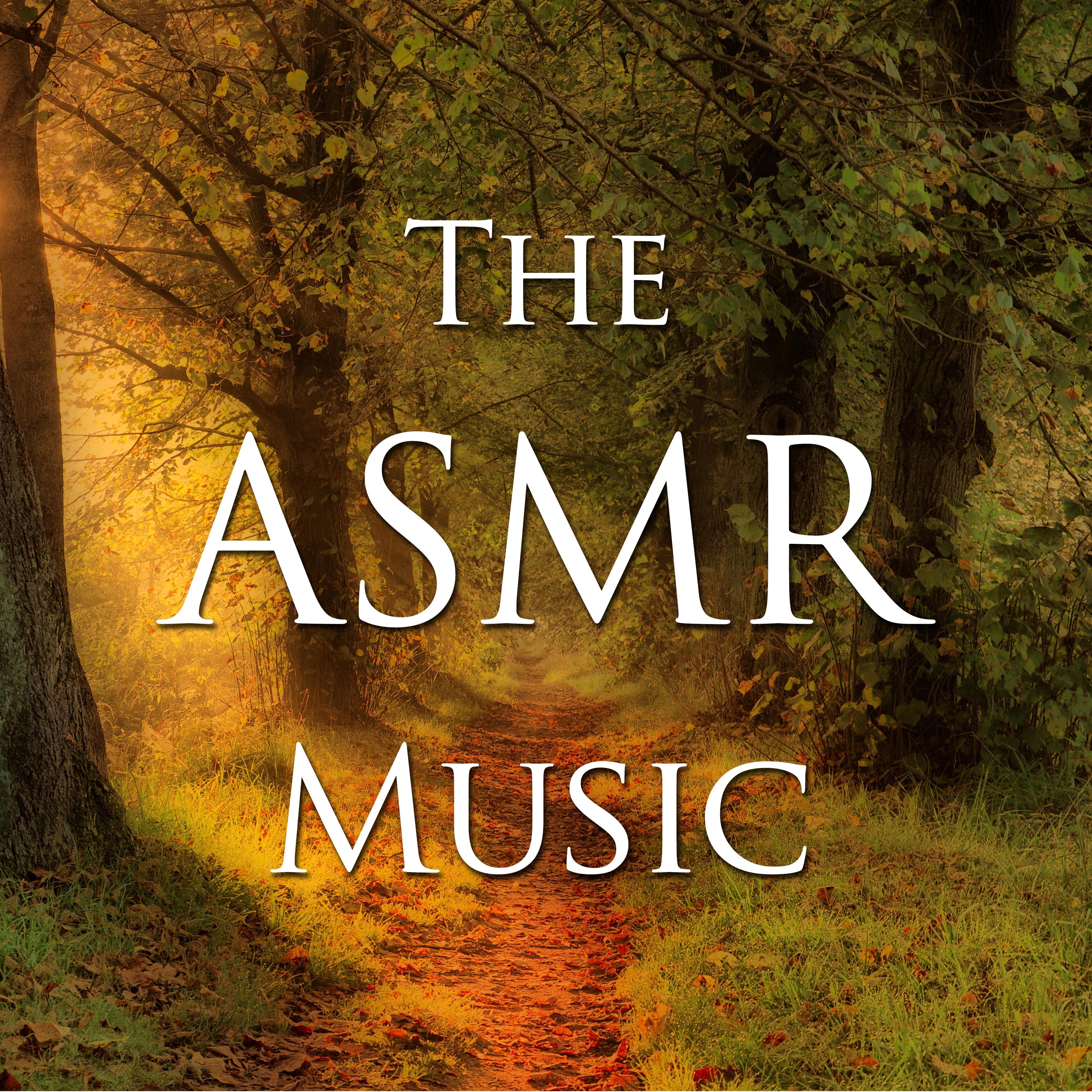 The ASMR Music: Enjoy our Special New Age Songs as a Sleep Aid or just to Relieve Stress and Anxiety with ASMR Triggers like Rain, Wind and Ocean Waves