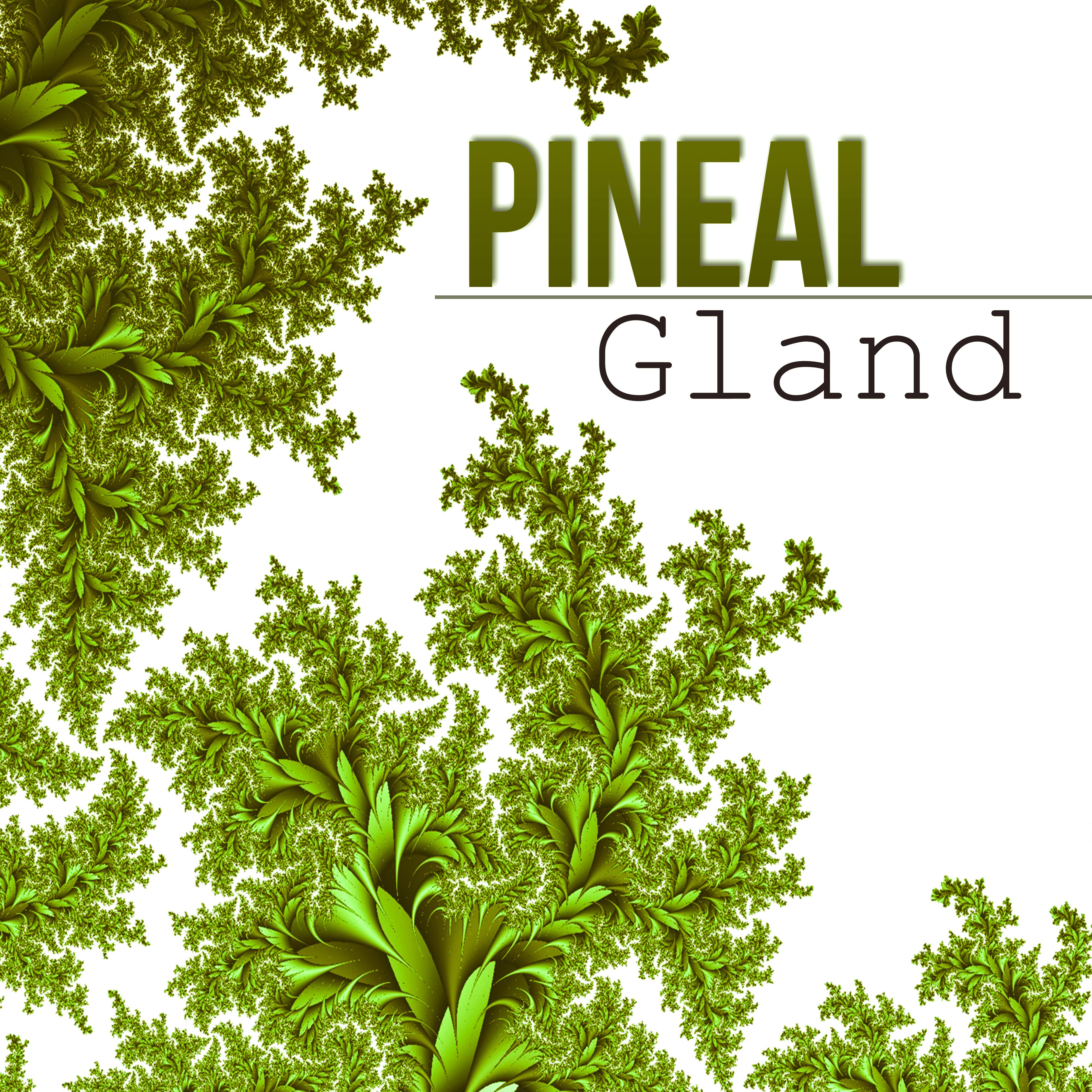 Pineal Gland - Balance Body, Mind & Soul, Healing Yoga Meditation for Peace of Mind, Zen Music for Relaxation with Nature Sounds