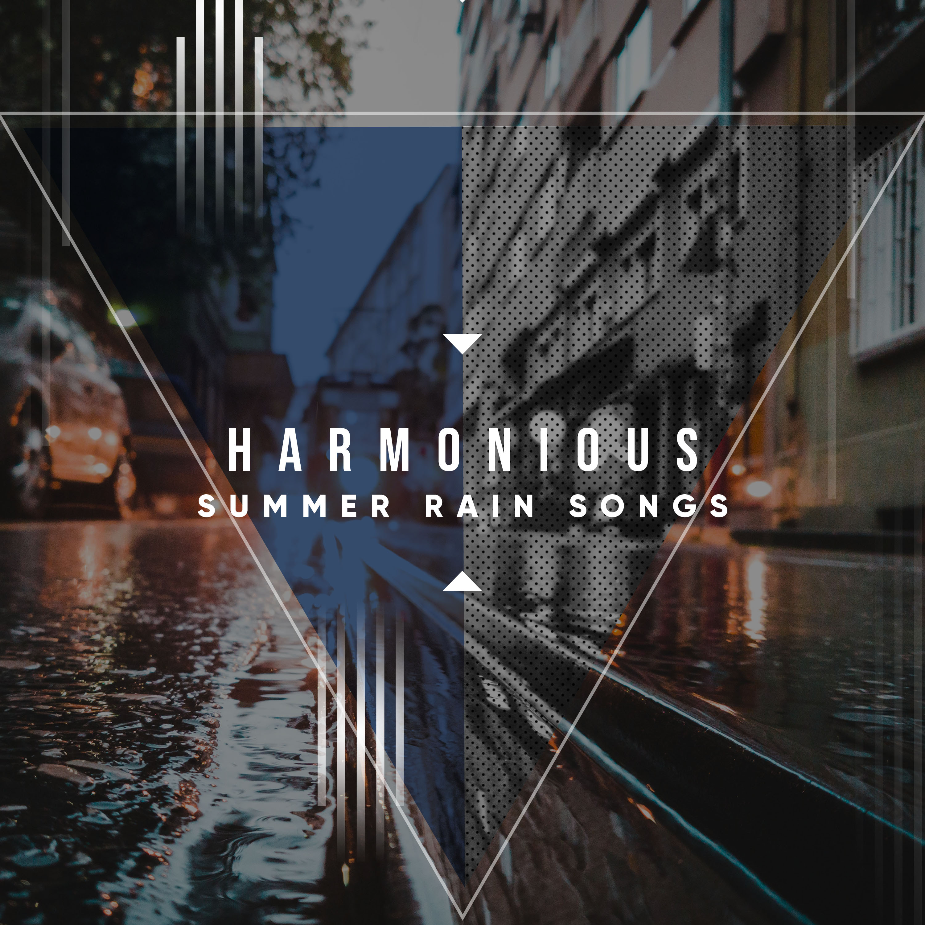 #19 Harmonious Summer Rain Songs