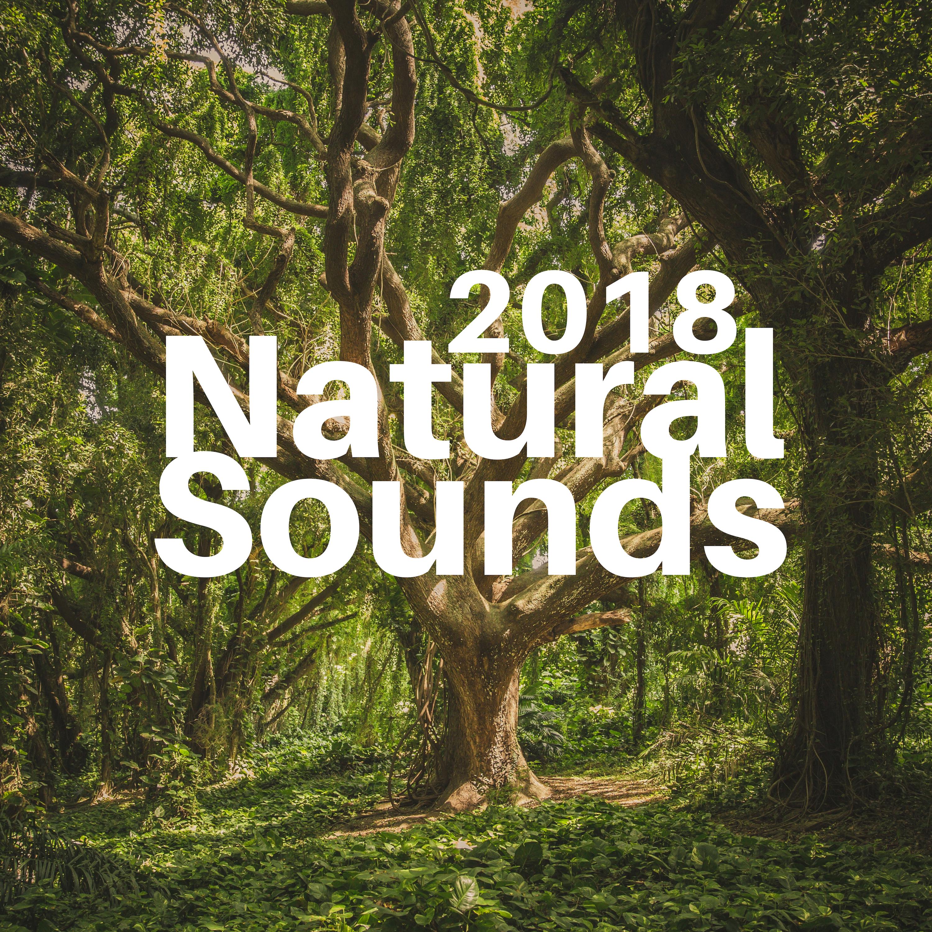 Natural Sounds 2018 - Meditation Aid