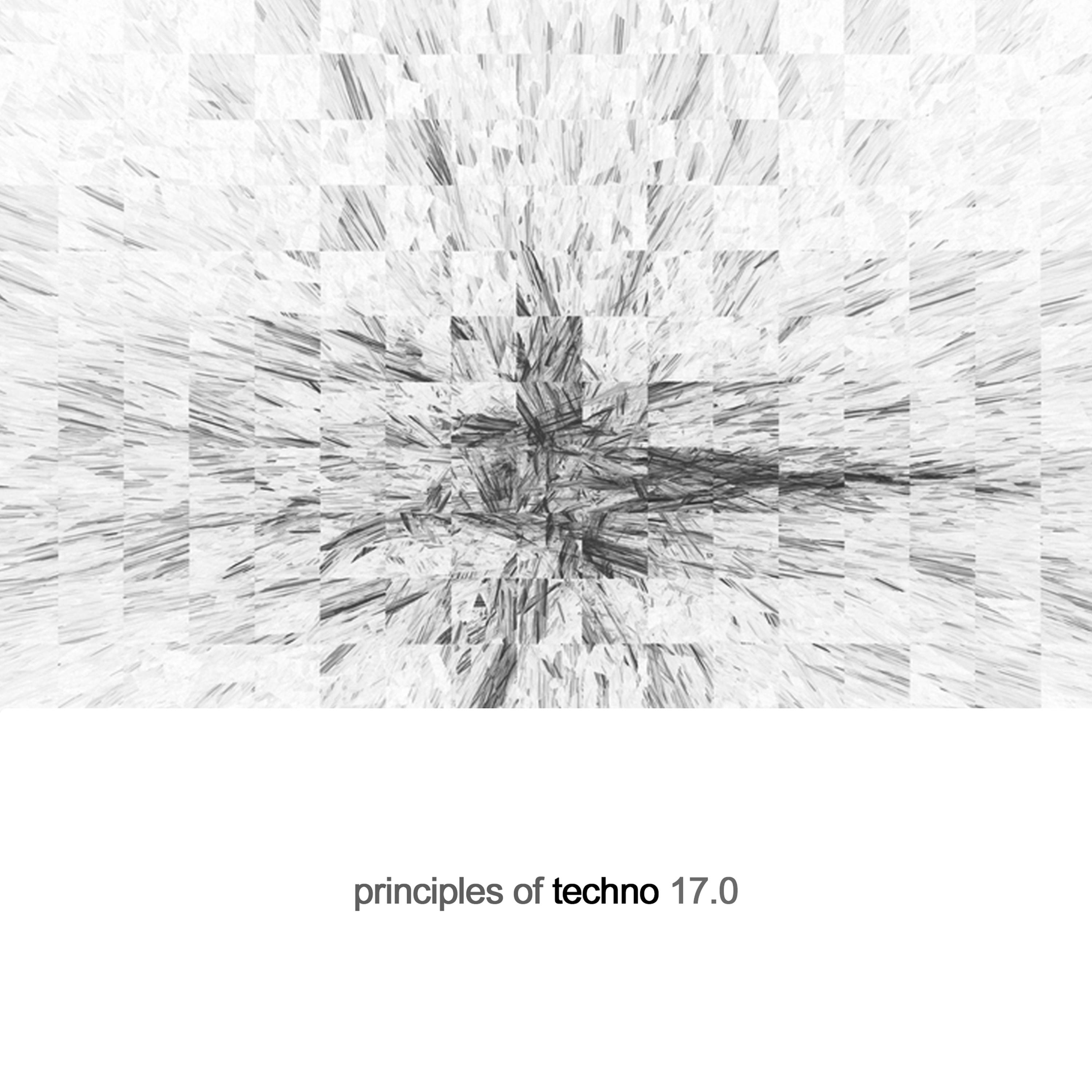 Principles of Techno, Vol. 17