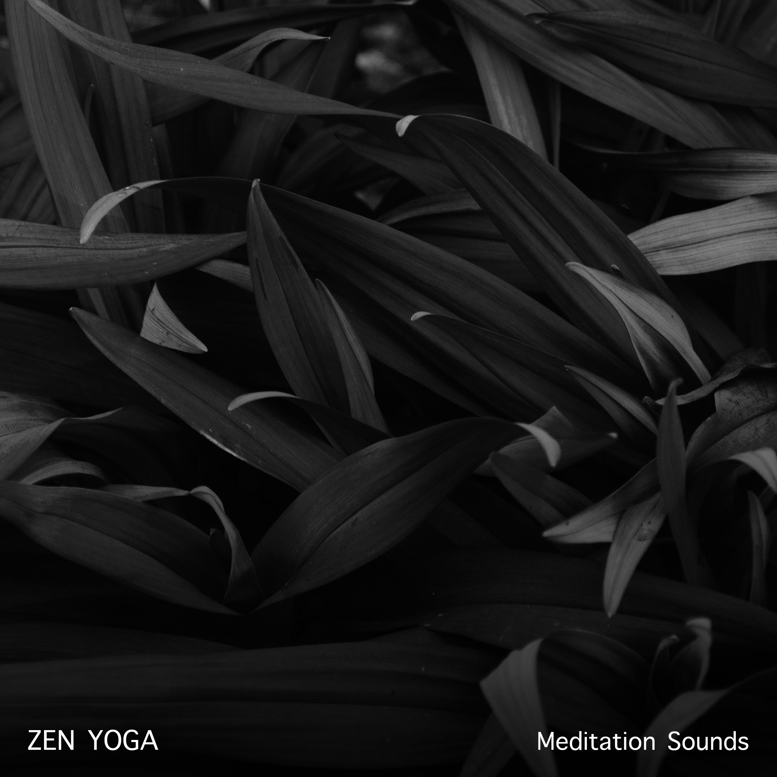 10 Zen Yoga and Kundalini Meditation Sounds