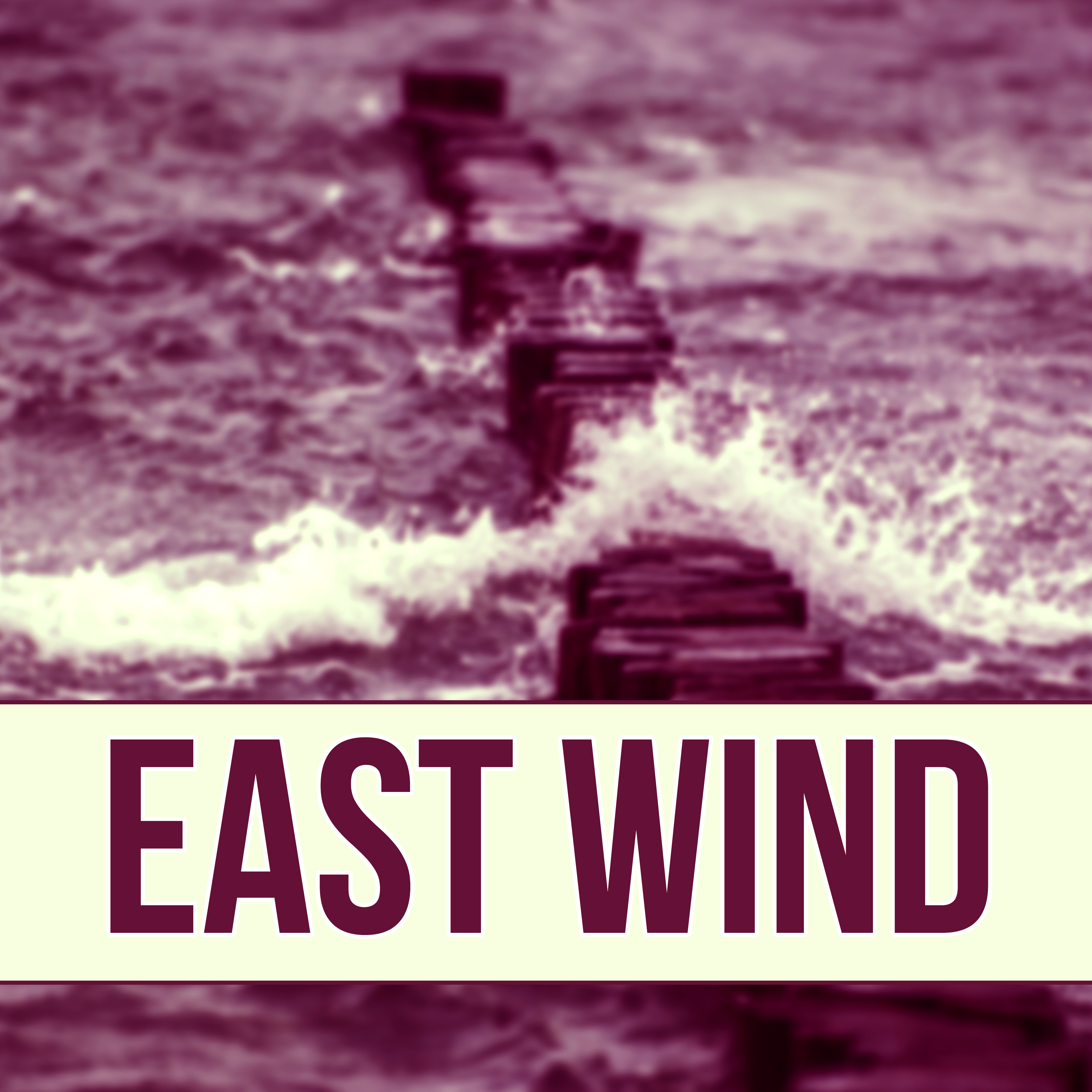 East Wind - In Harmony with Nature Sounds, Pacific Ocean Waves for Well Being and Healthy Lifestyle