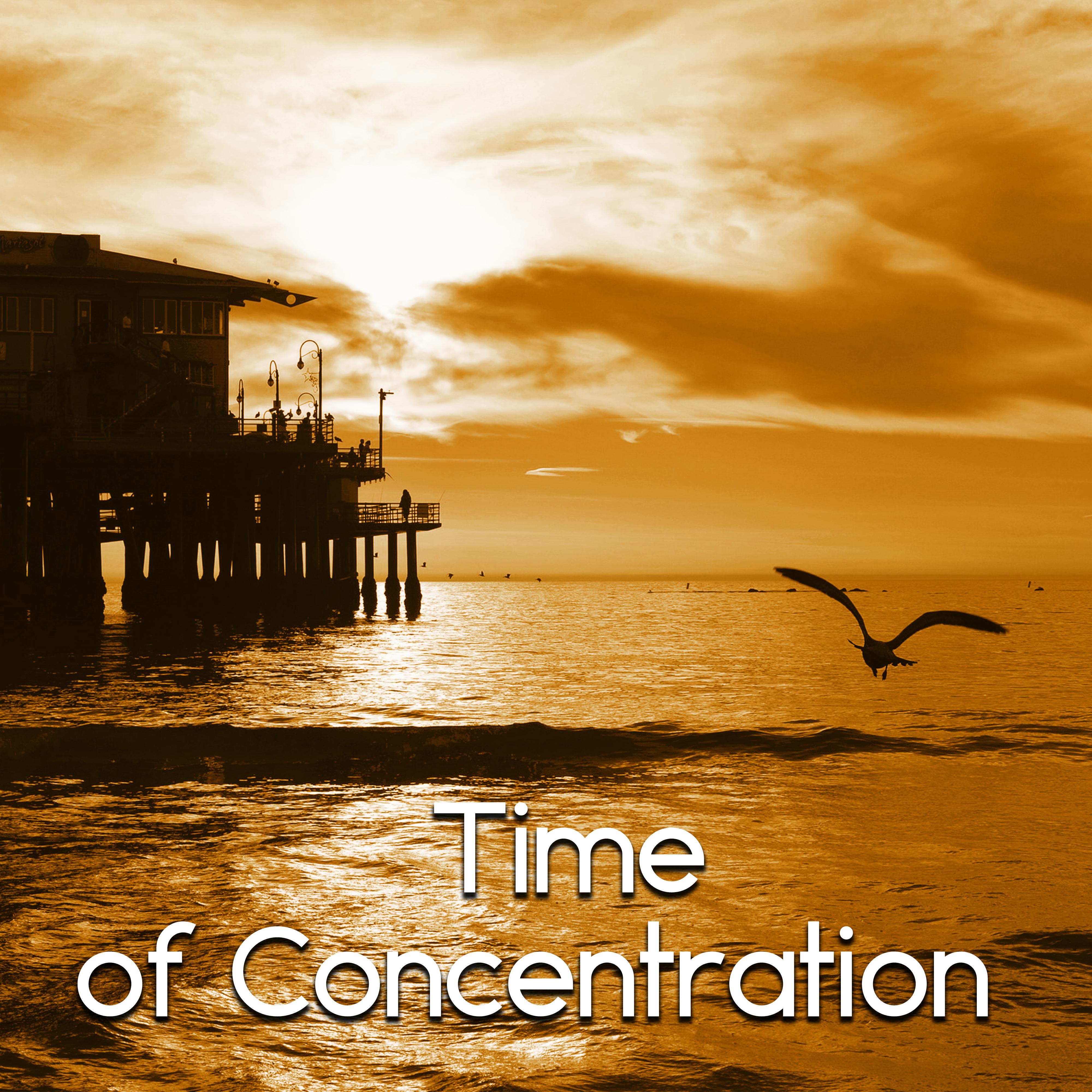 Time of Concentration  Most Relaxing Music New Age for Easy Study, Brain Power, Music Sounds of Nature for Focus, Clear the Mind, Exam Study