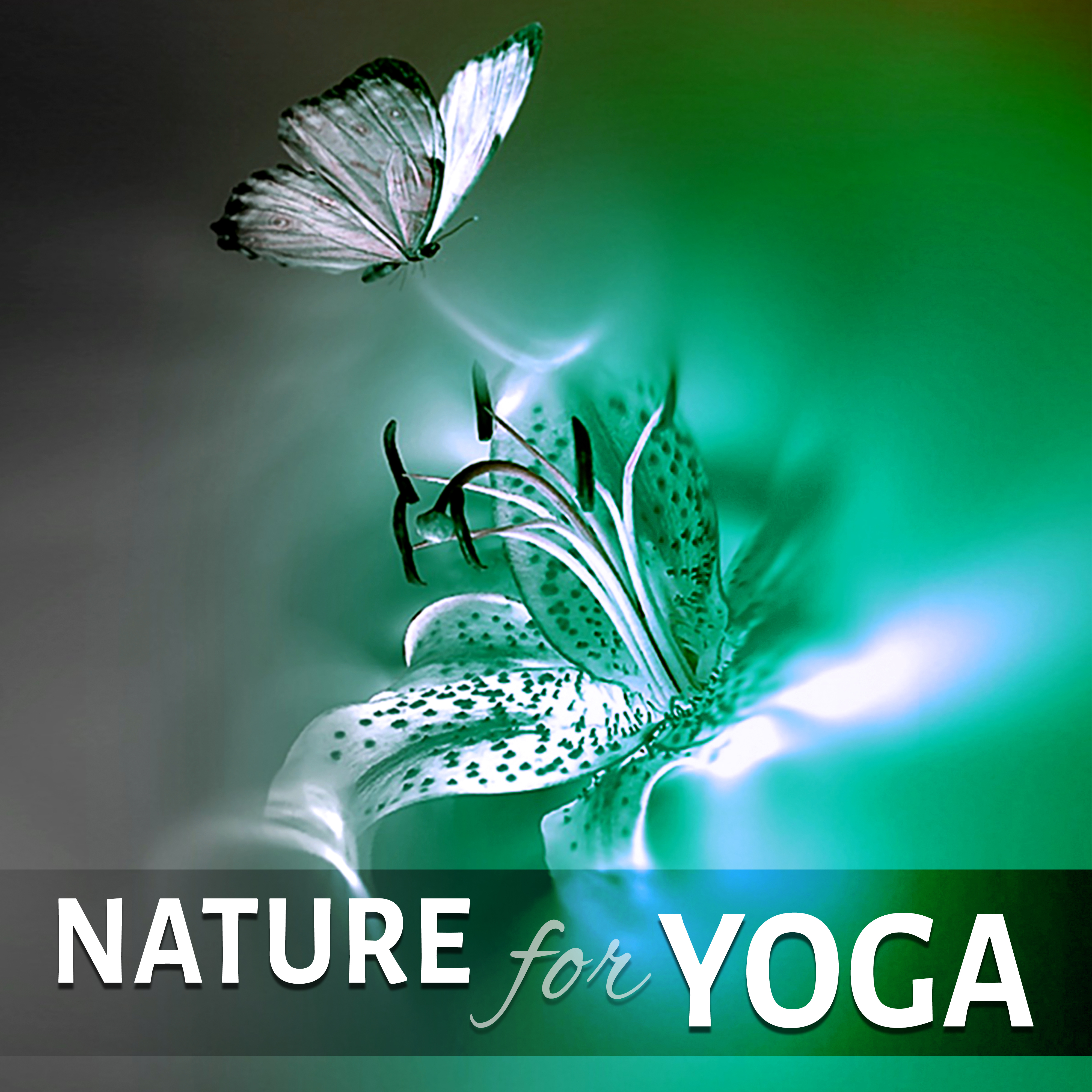 Nature for Yoga