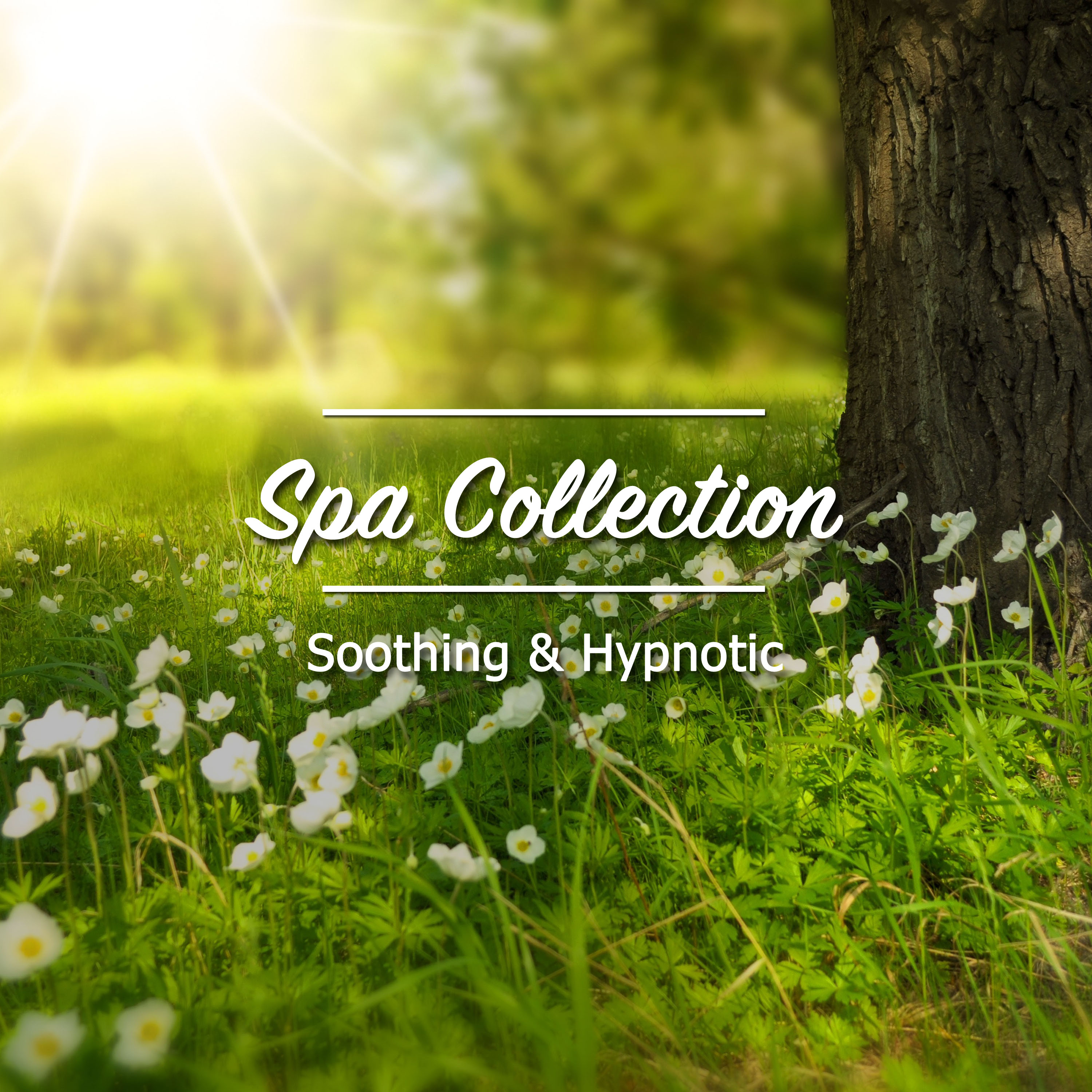 19 Songs for Spa Collection: Soothing and Hypnotic