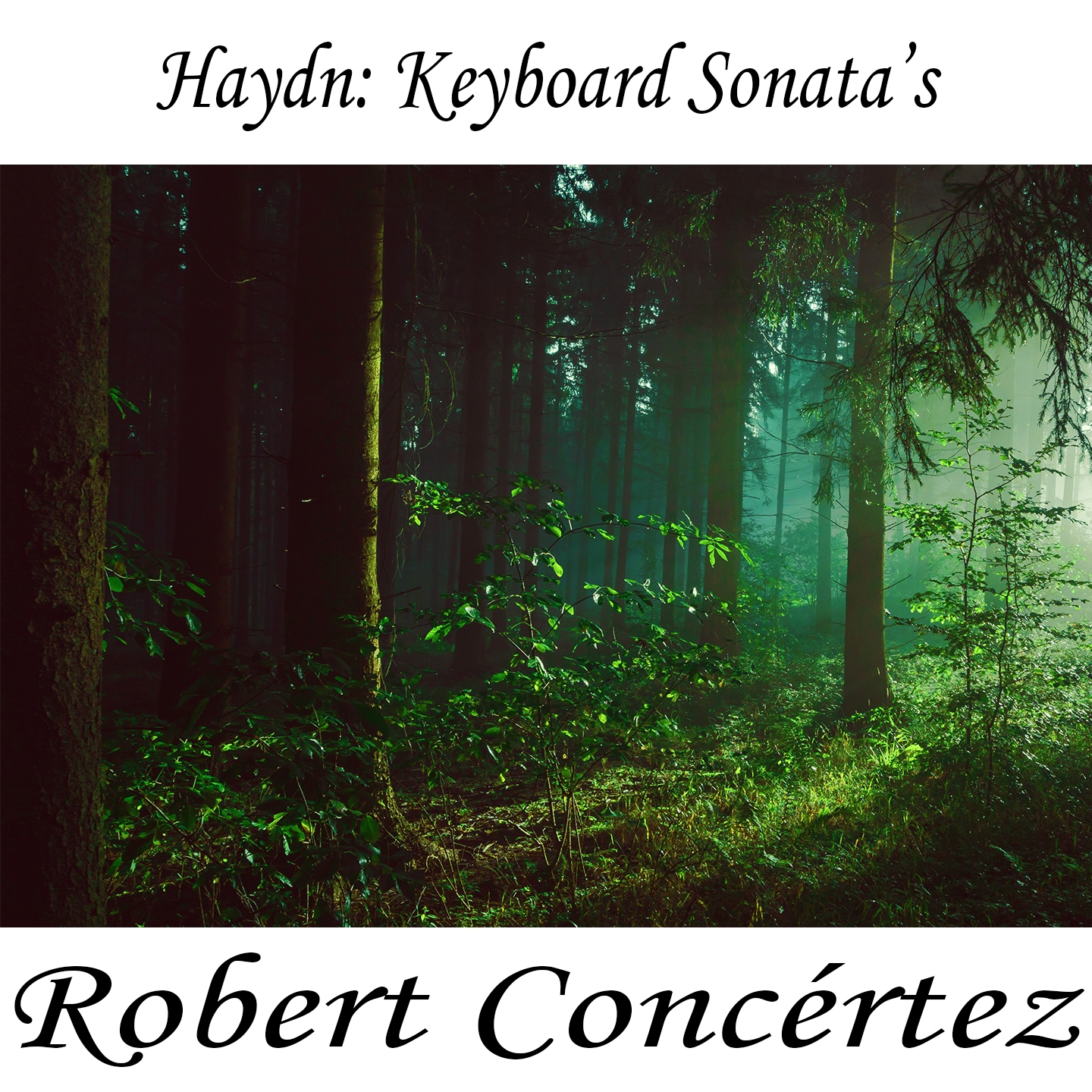 Haydn: Keyboard Sonata's