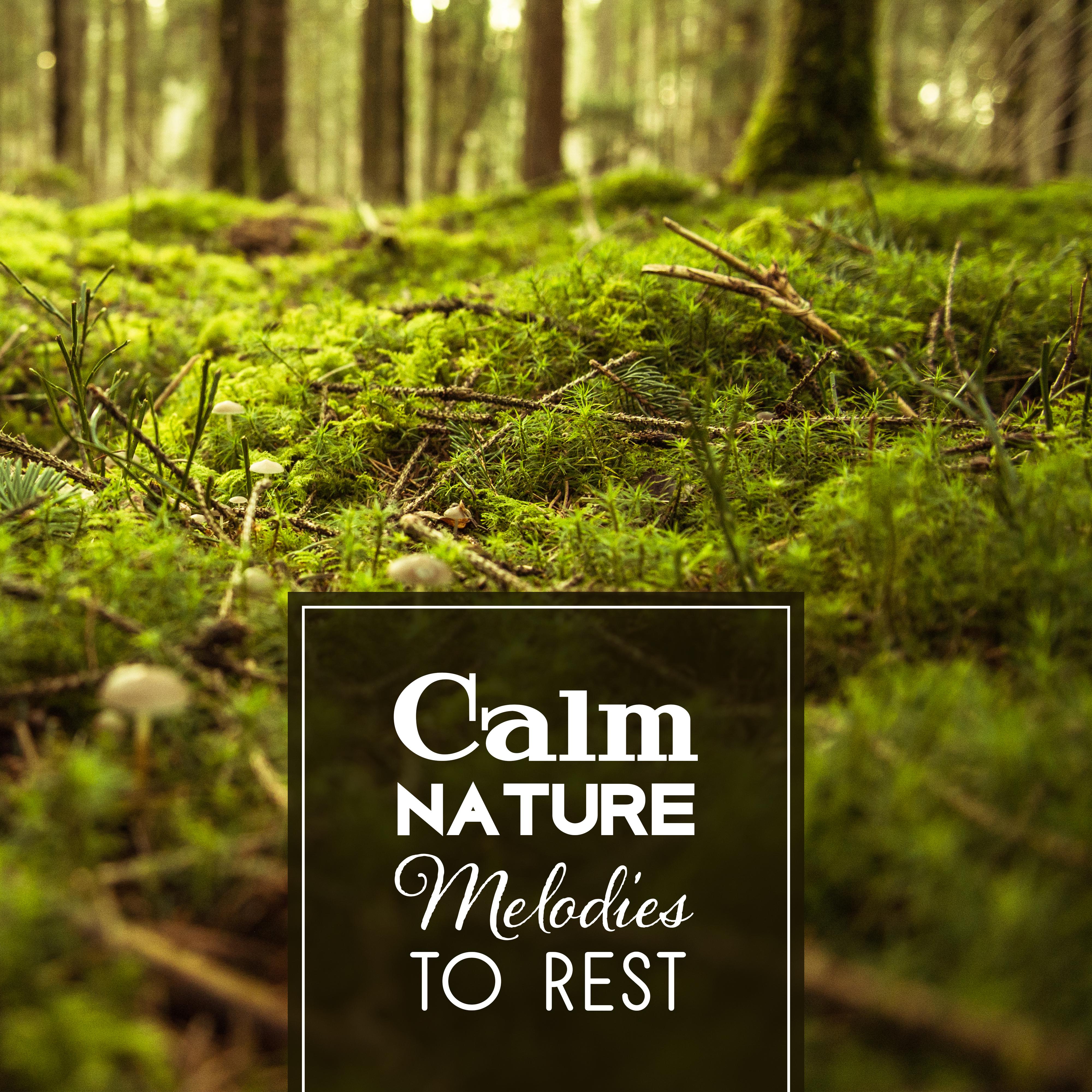 Calm Nature Melodies to Rest  Soothing Nature Waves, Healing Touch, Peaceful Mind Music