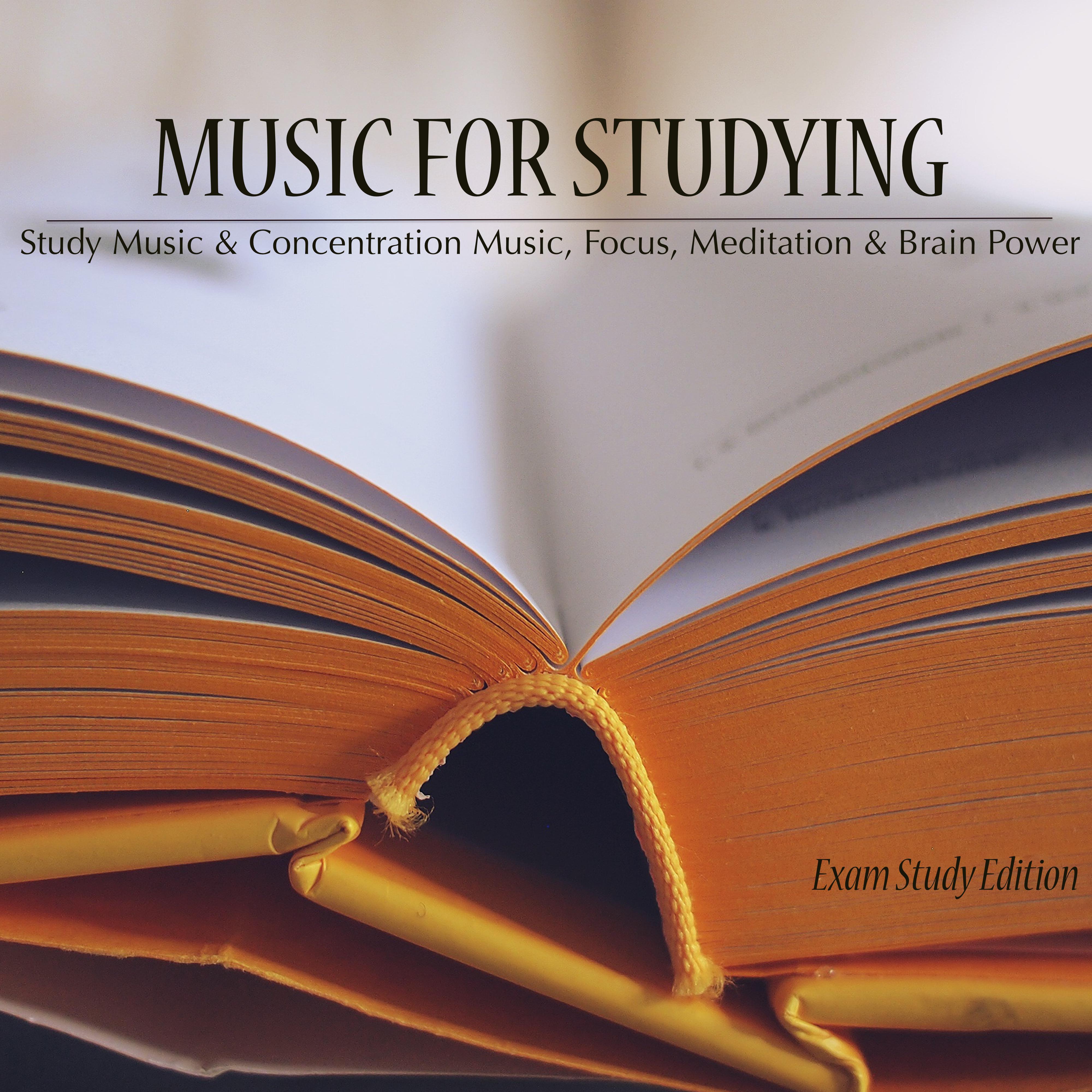 Calming Music to Study to