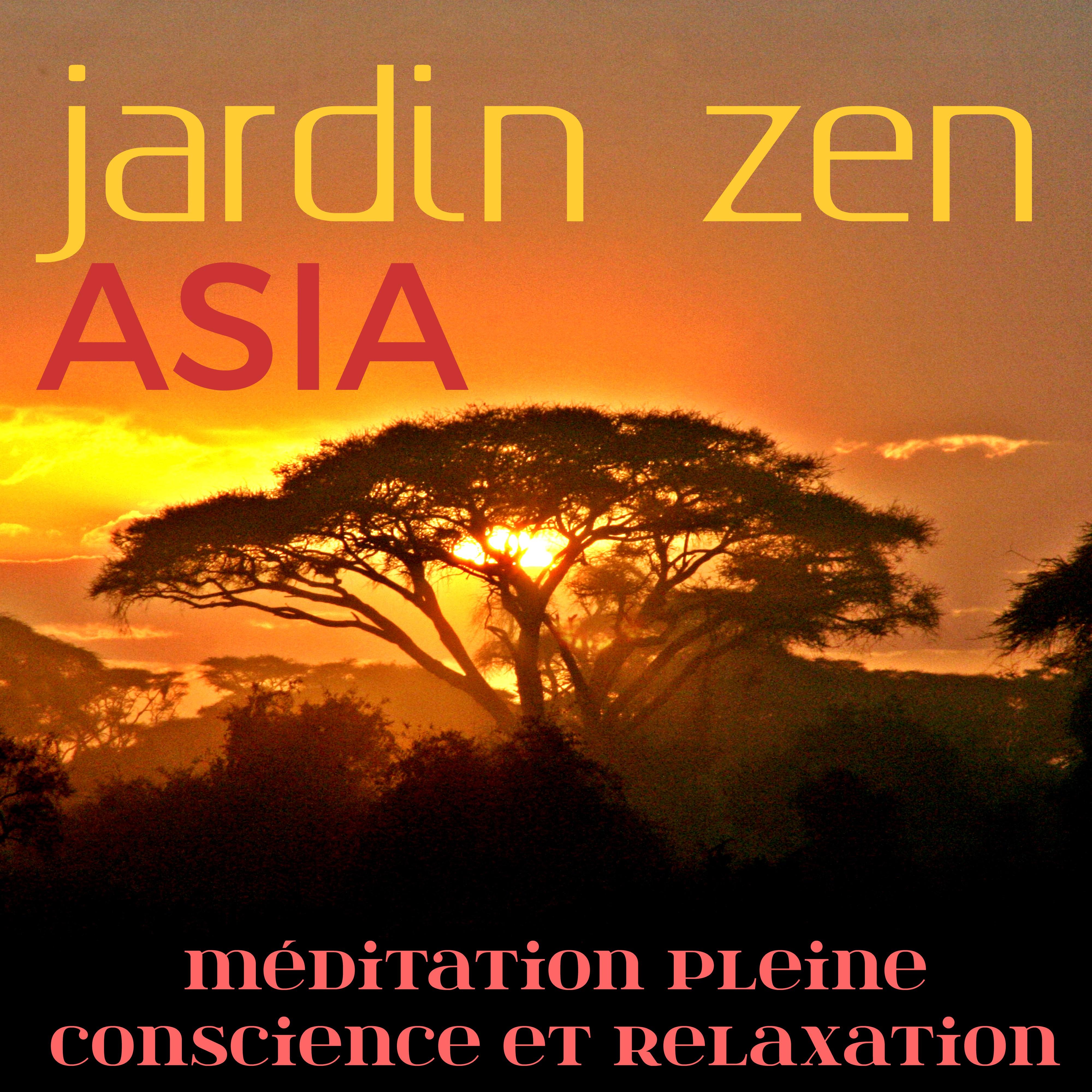 Jardin Zen Asia: Me ditation Pleine Conscience et Relaxation, É couter de la Musique Asiatique pour Apprendre comment Me diter et Se De tendre, Vivre Heureux et Serein
