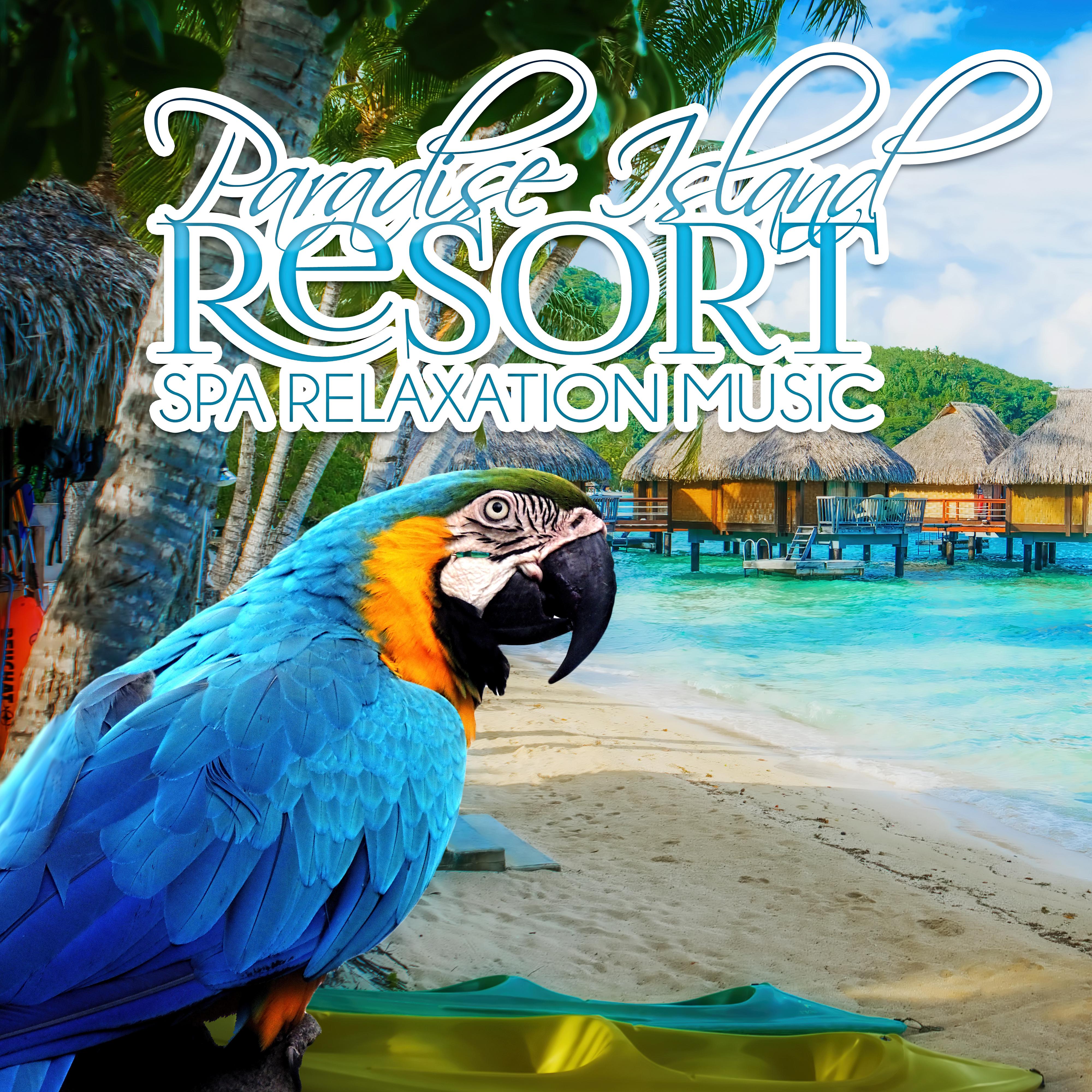 Paradise Island Resort Spa Relaxation Music  Spa Music, World Islands, Sea, Ocean Waves, Nature