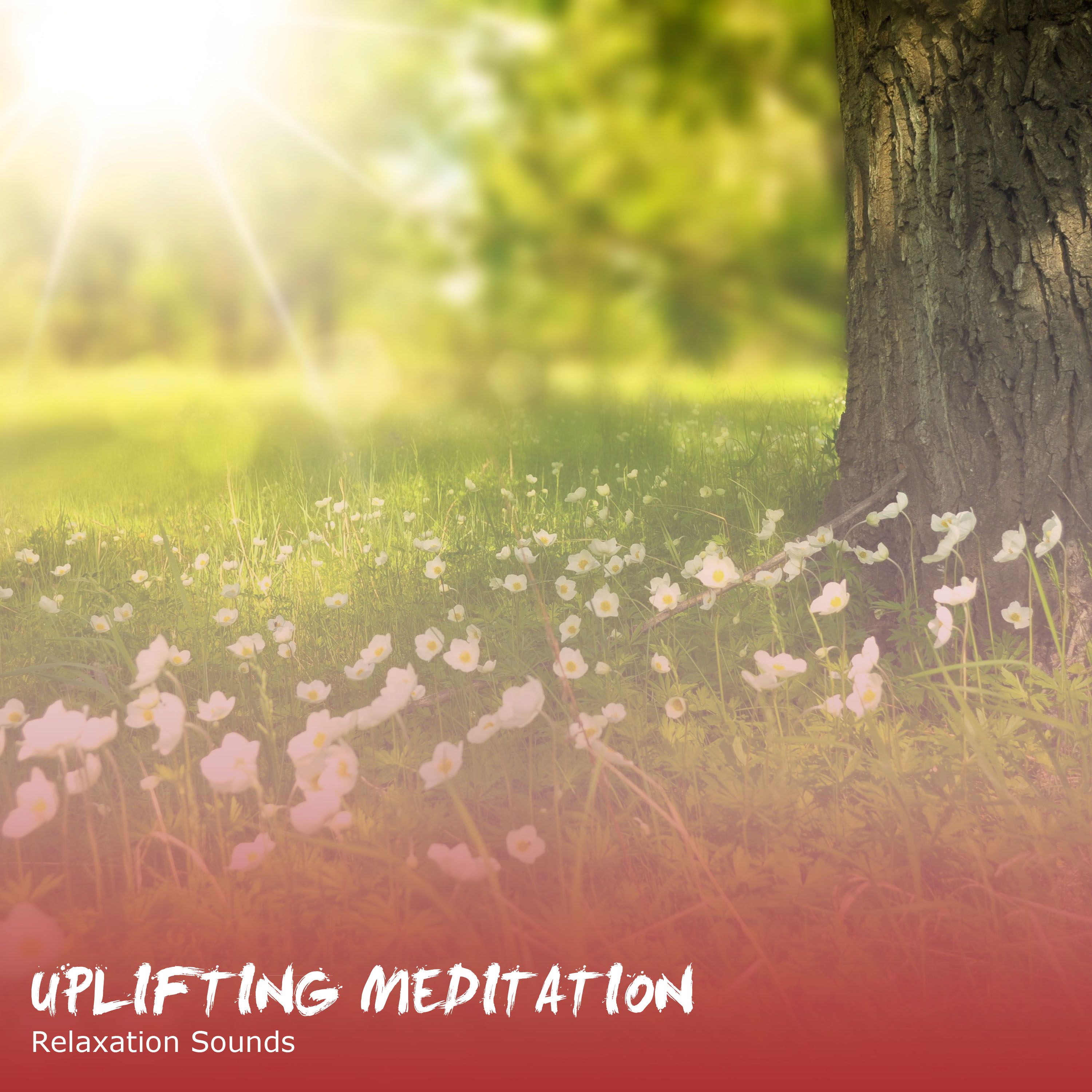 20 Uplifting Meditation and Relaxation Sounds