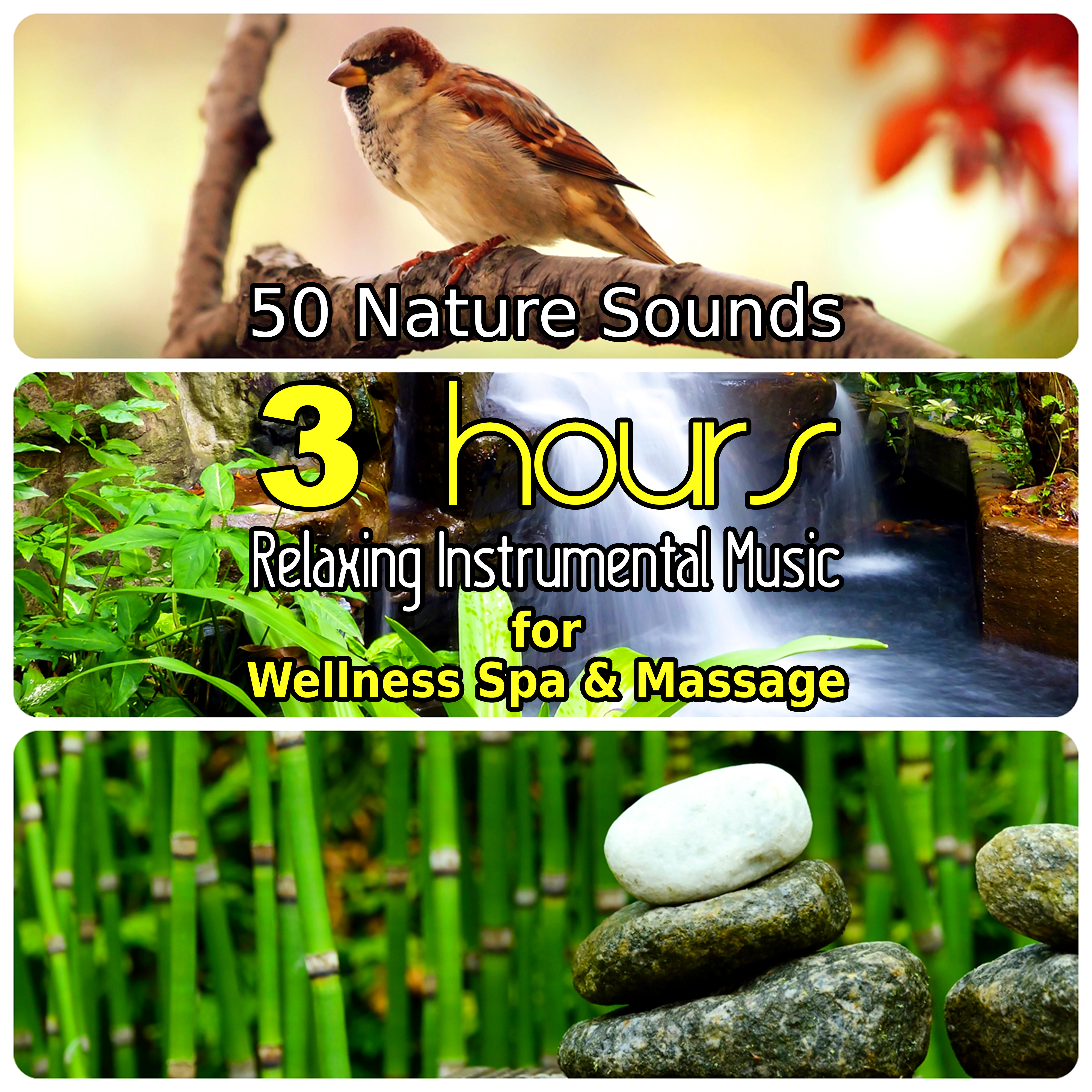 50 Nature Sounds: 3 Hours Relaxing Music for Welness Spa and Massage, Background Instrumental Songs with Singing Birds, Waterfall, Bubbling Brooks & Natural Forest Ambience