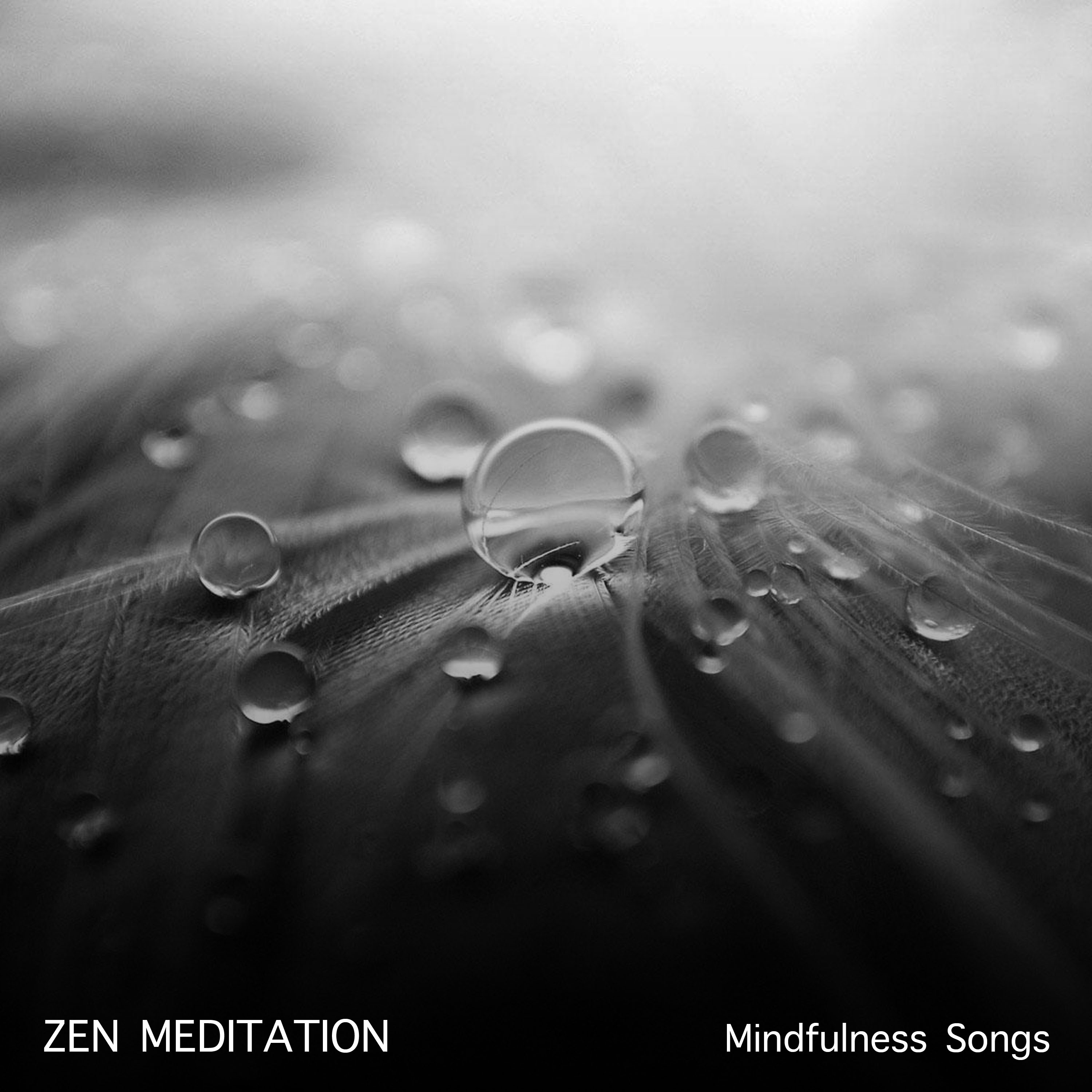 18 Zen Meditation and Mindfulness Songs