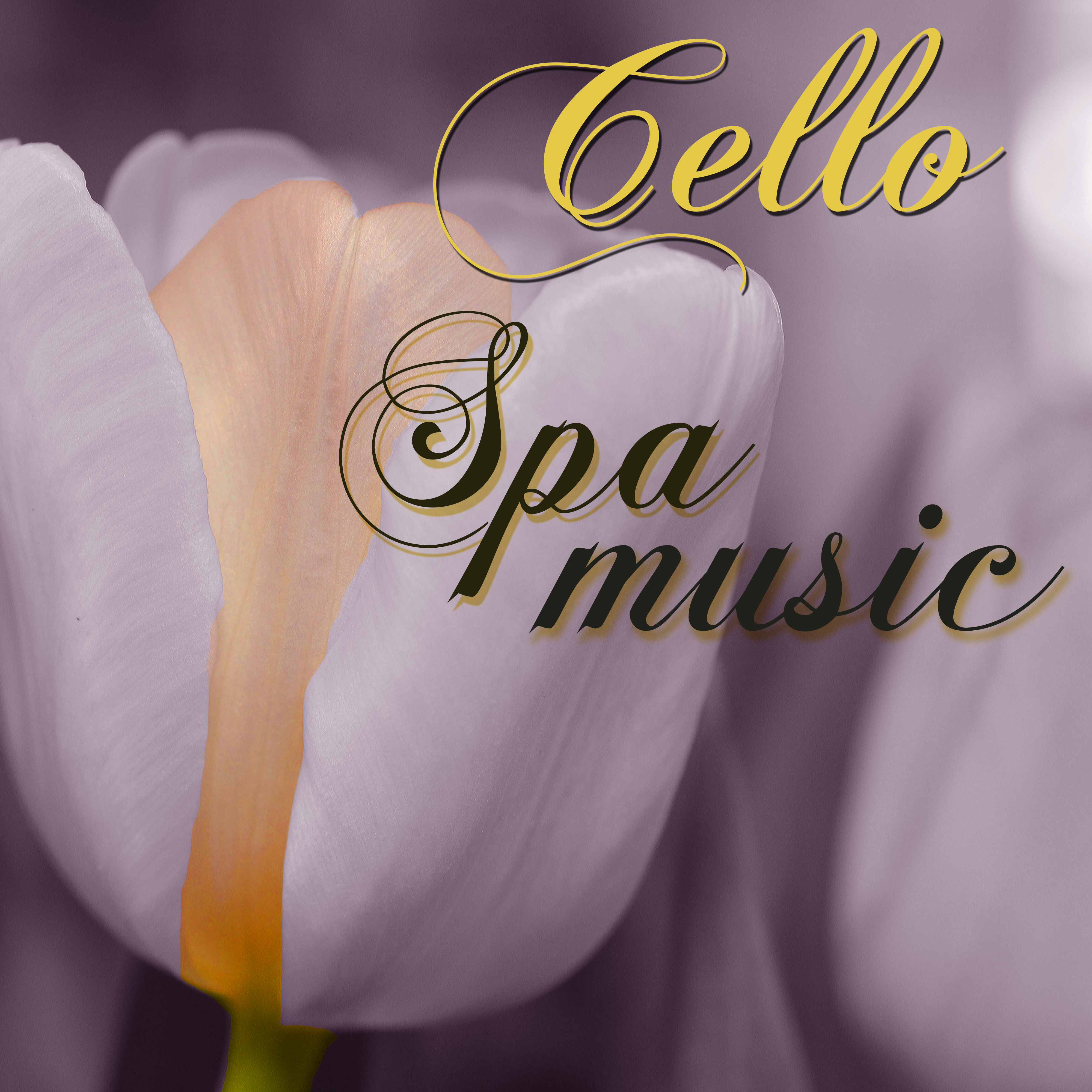 Cello Spa Music  Soothing Spa Sounds for Massage  Healthy Body Wellness Center
