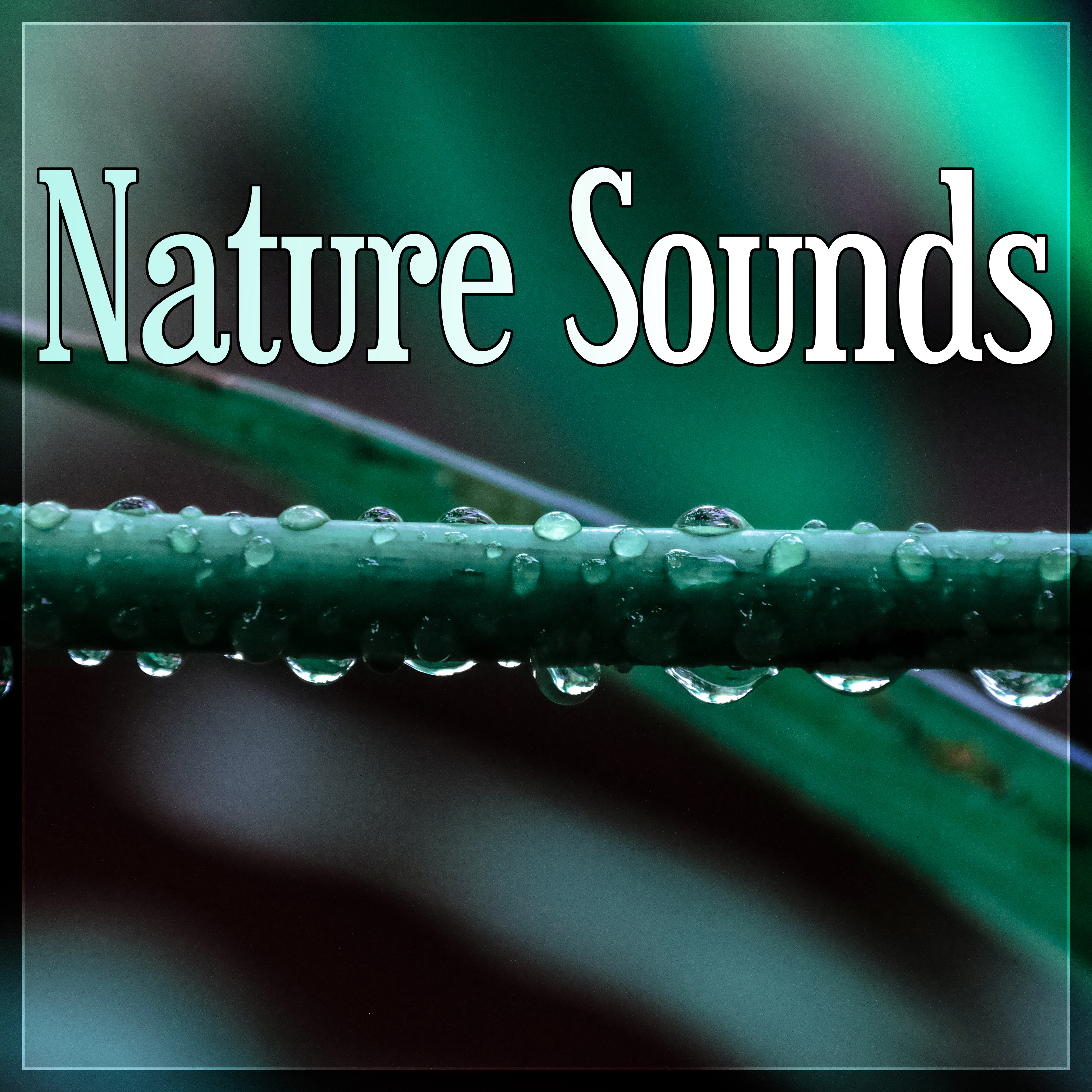 Nature Sounds - Sound Therapy for Stress Relief, Relax Your Brain, Finest Chillout & Lounge Music, Massage, Reiki