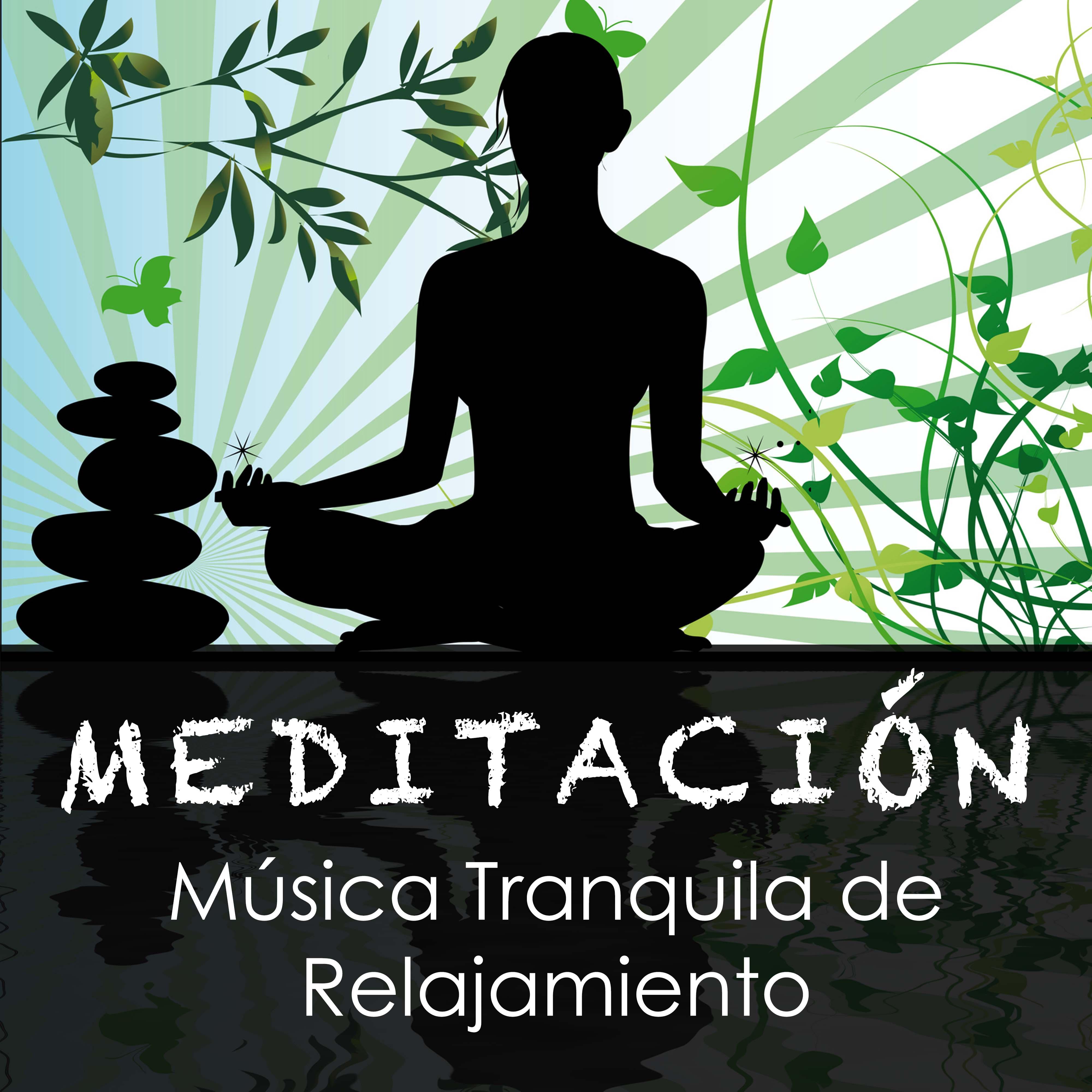 Meditacio n  Musica Tranquila de Relajamiento