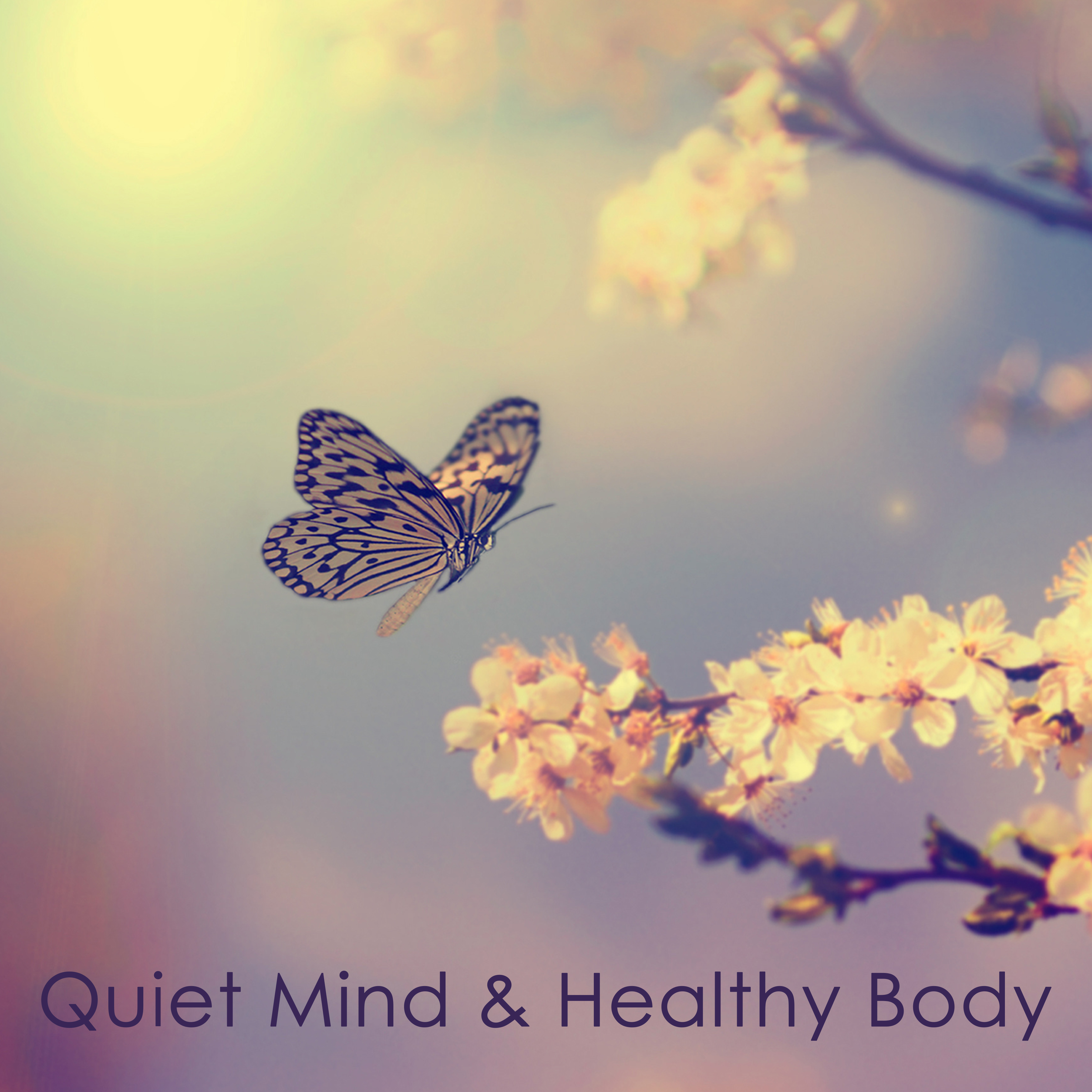 Quiet Mind  Healthy Body  Nature Sounds Zen Music Relax