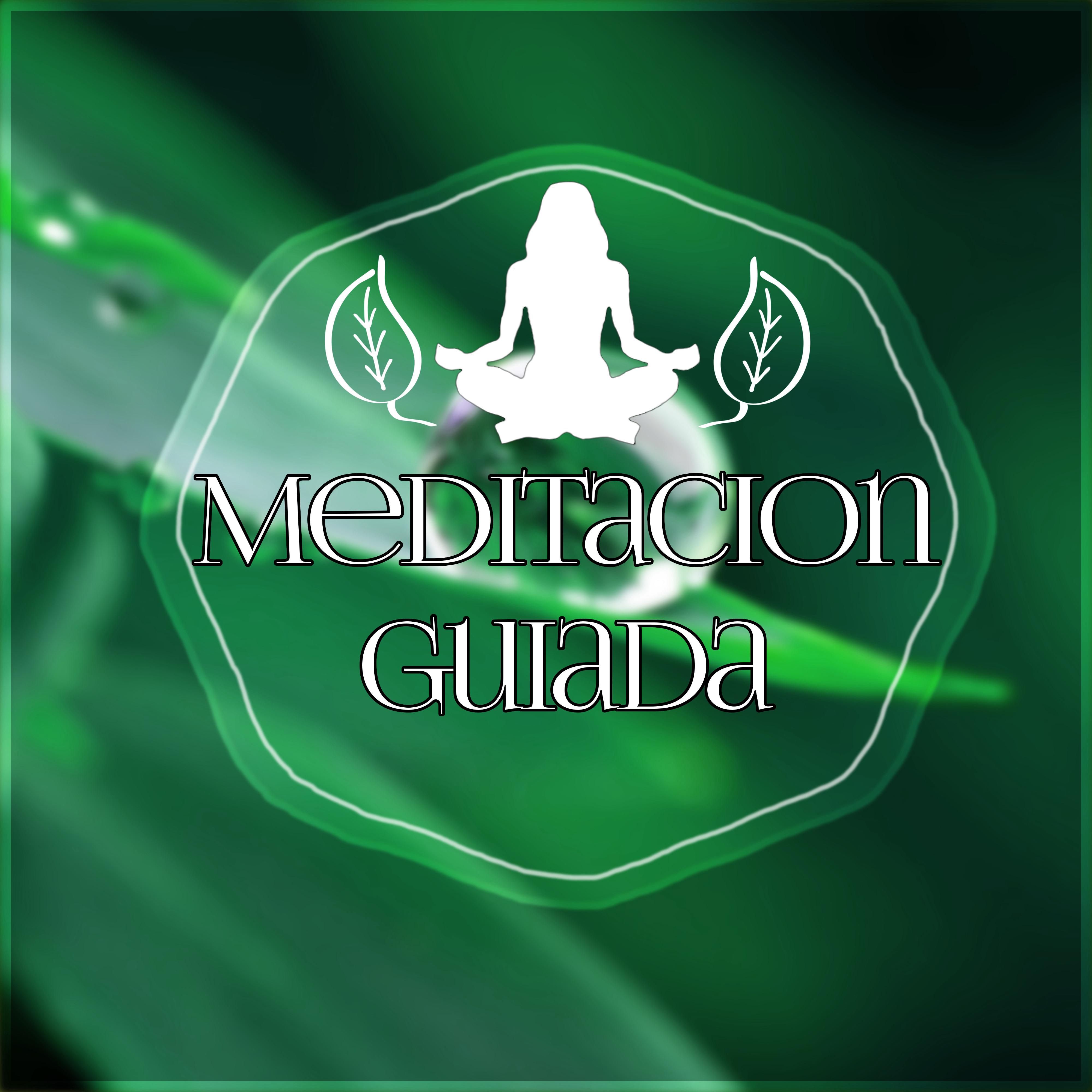 Meditacion Guiada  Canciones para Relajarse y Meditar, Musica New Age de Reiki  para Meditacion, Musica de Fondo