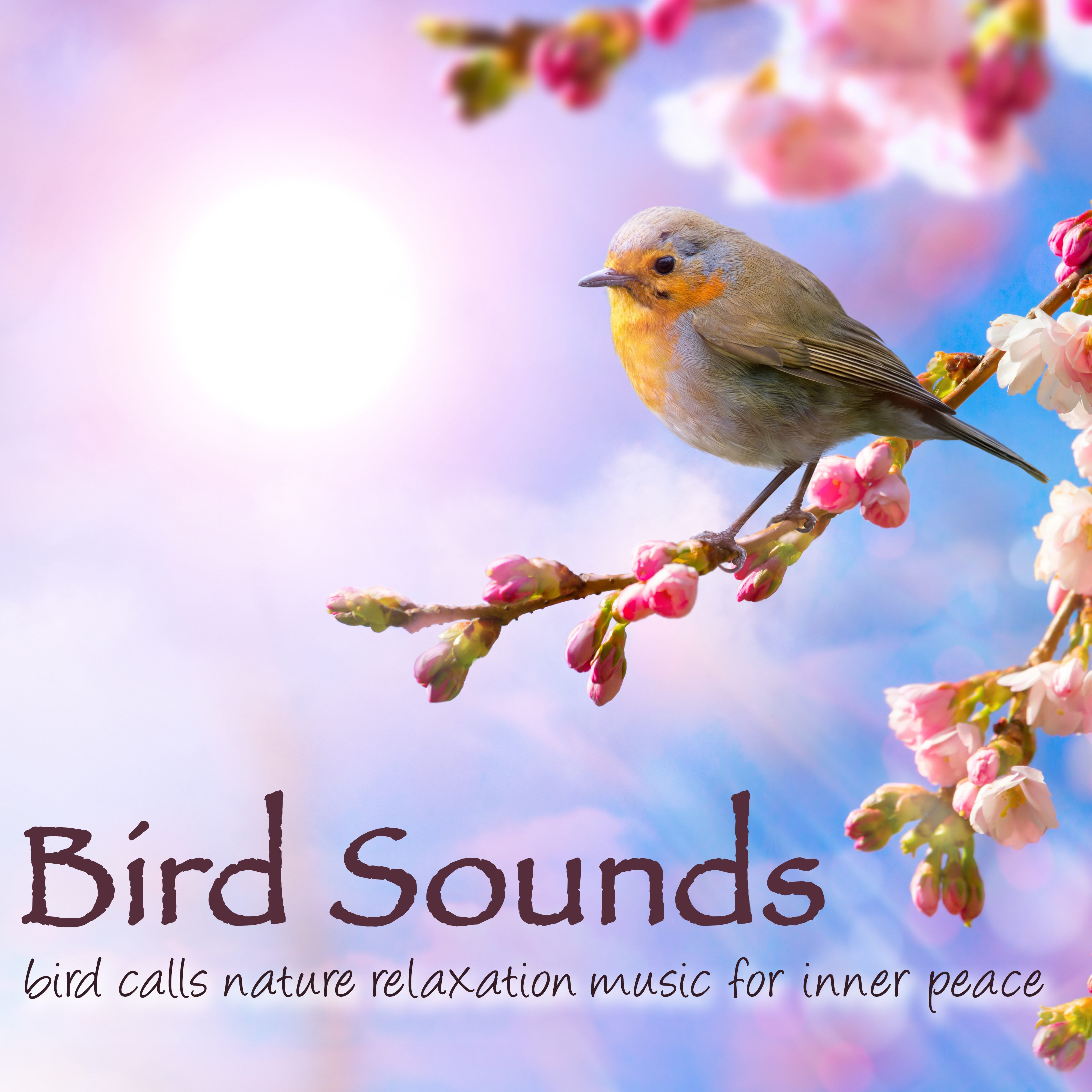 Meditation Music for Kids